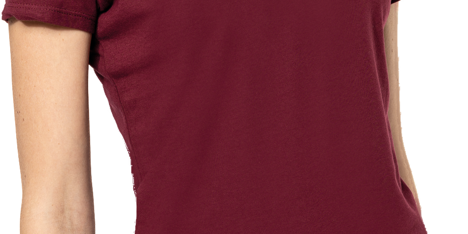 Wholesale Organic V-Neck T-Shirts