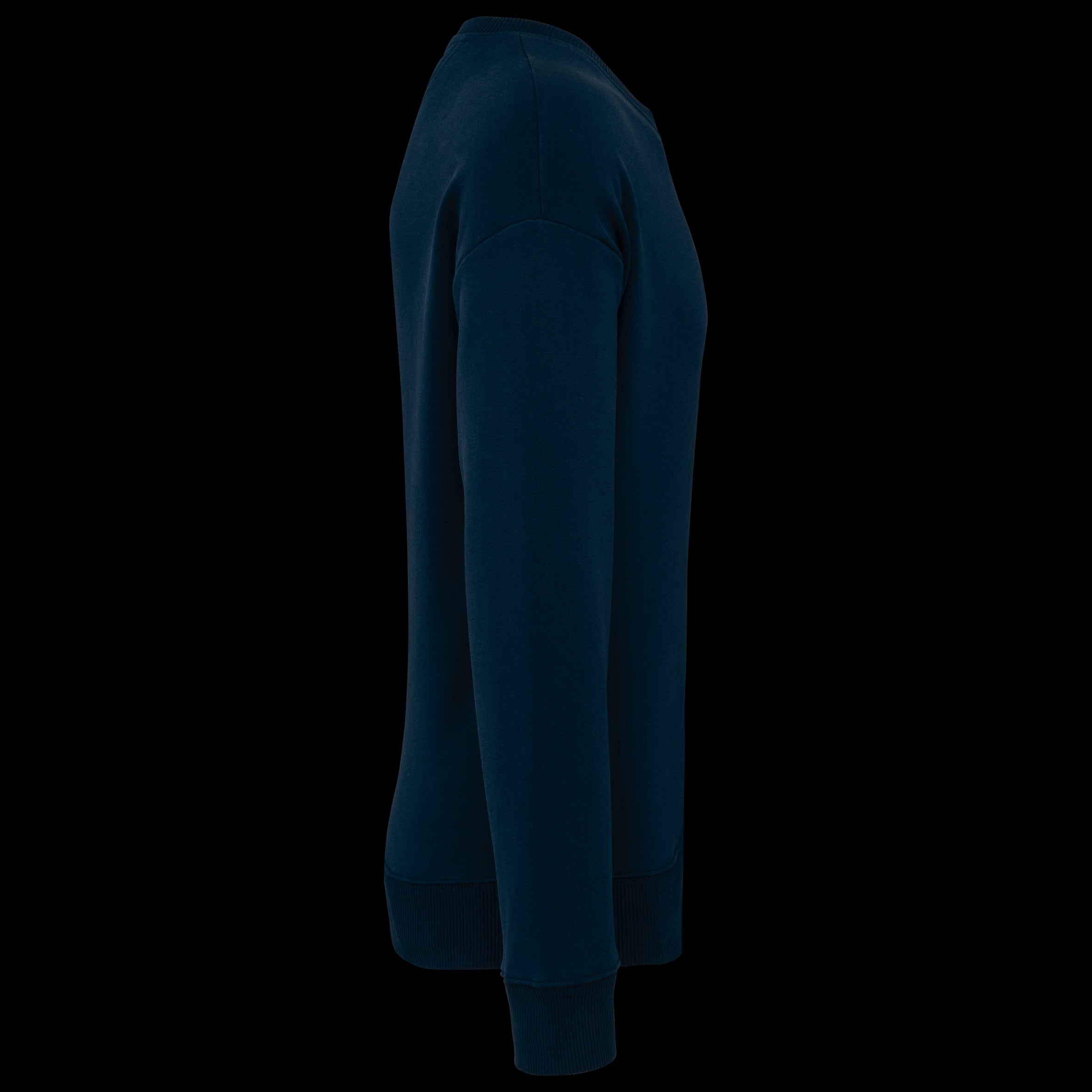 Organic Cotton Oversized Crew Neck Sweatshirt – 350 g/m² – NS440
