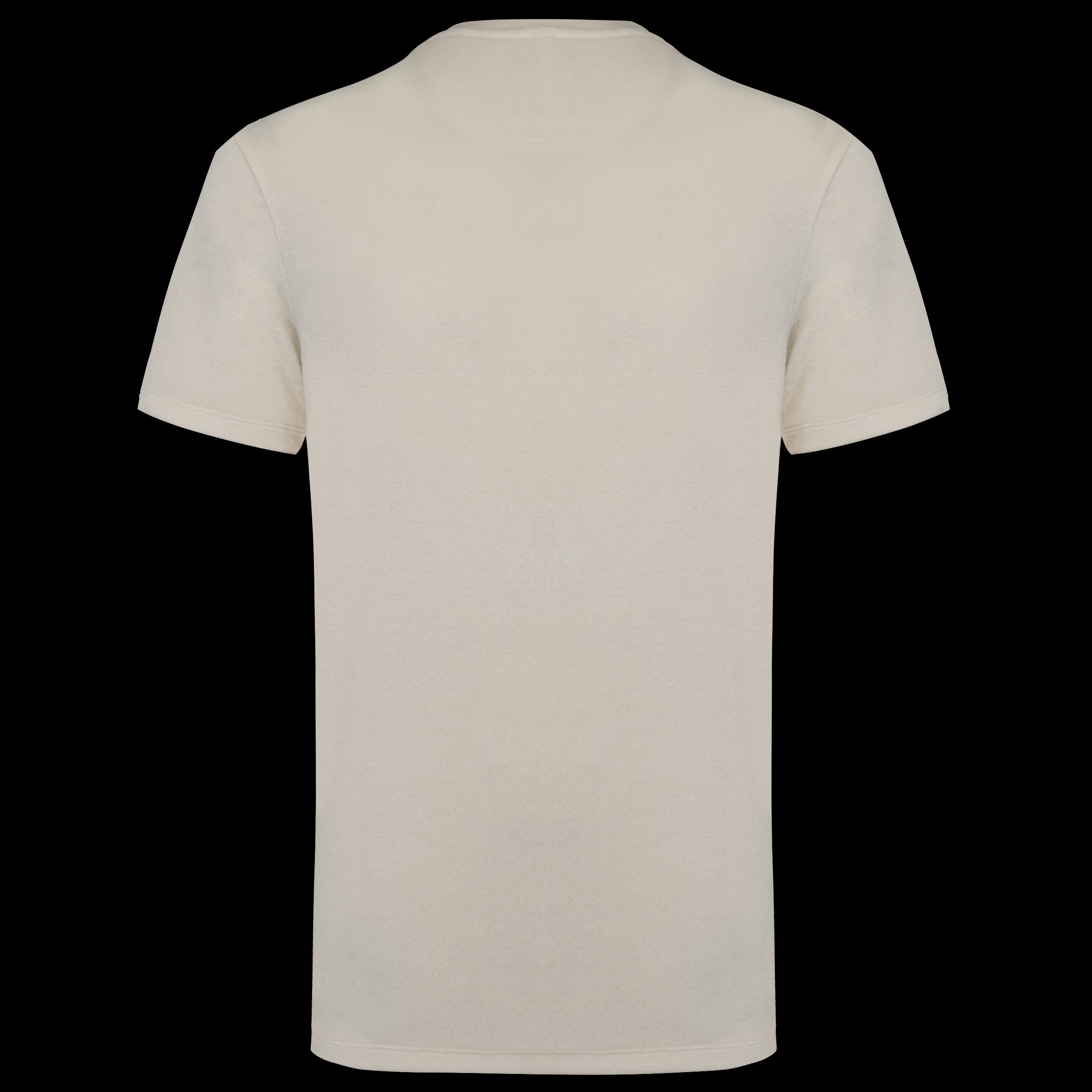Men’s Fitted Organic Cotton Terry T-Shirt – 210 g/m² – NS311