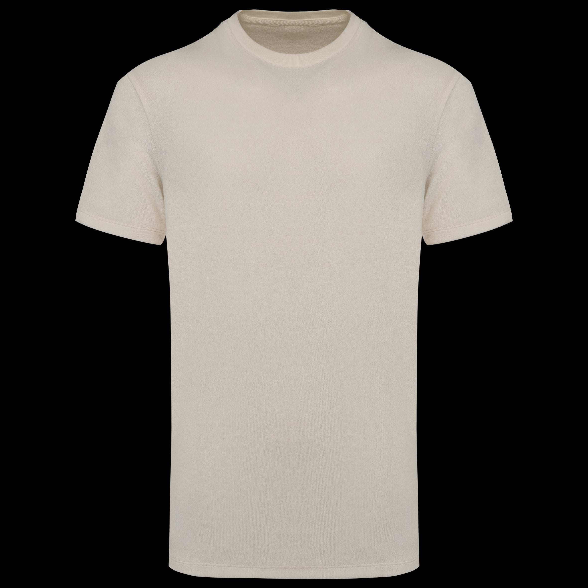 Men’s Fitted Organic Cotton Terry T-Shirt – 210 g/m² – NS311