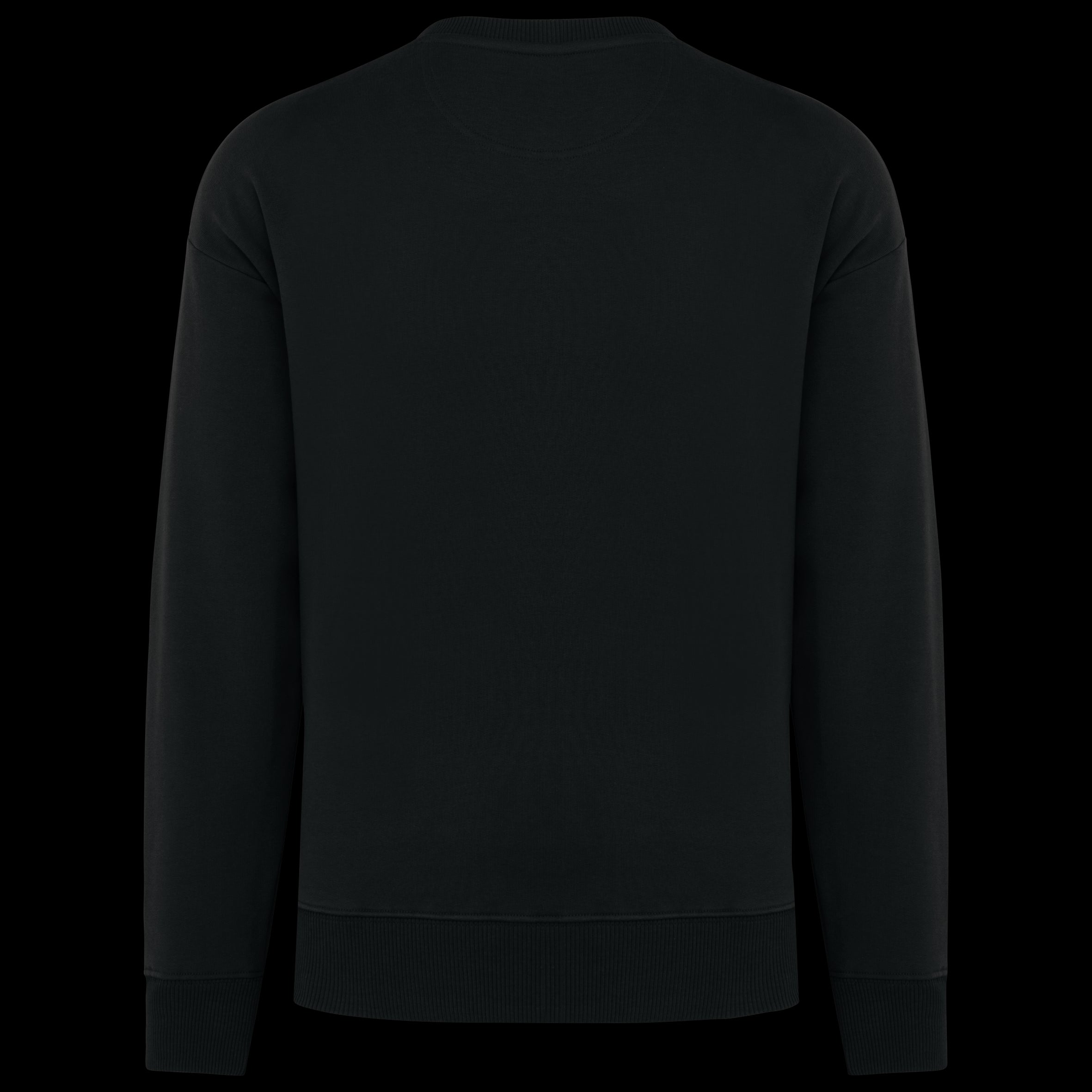 Organic Cotton Oversized Crew Neck Sweatshirt – 350 g/m² – NS440