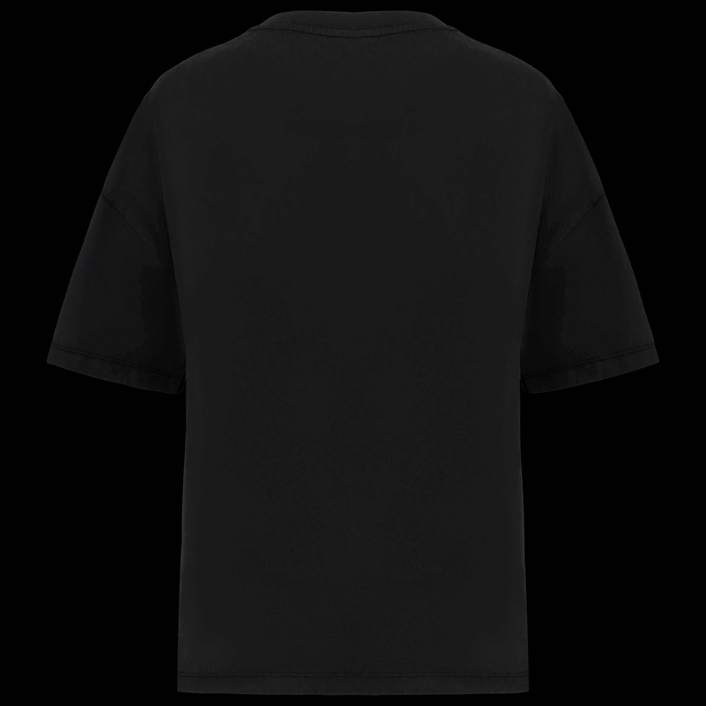 T-shirt en coton biologique lavé Oversized pour femmes – NS327