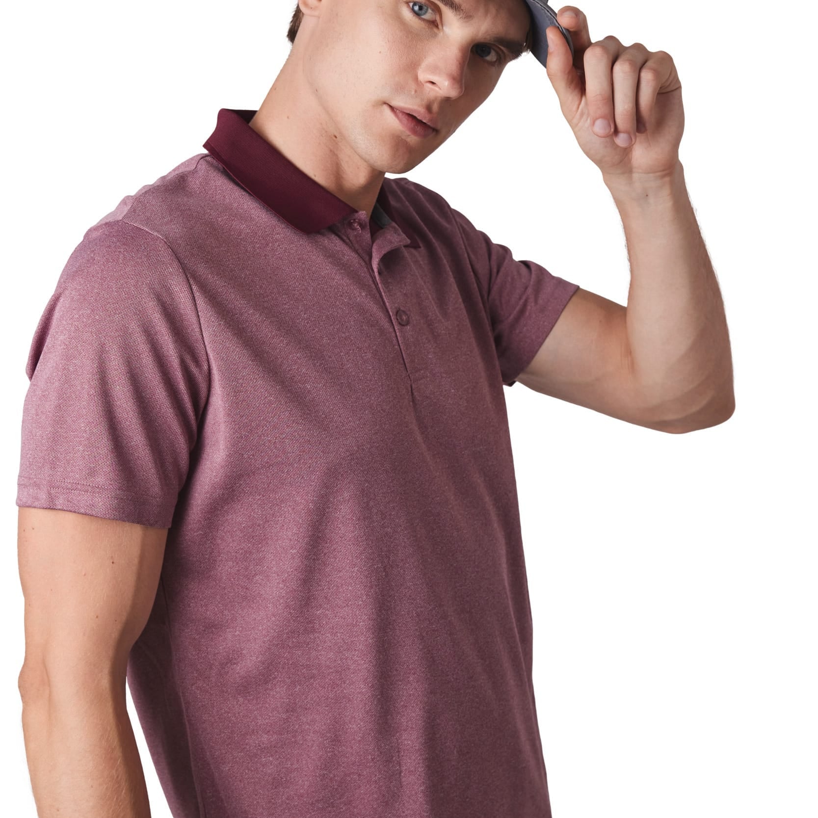 641461.jpg