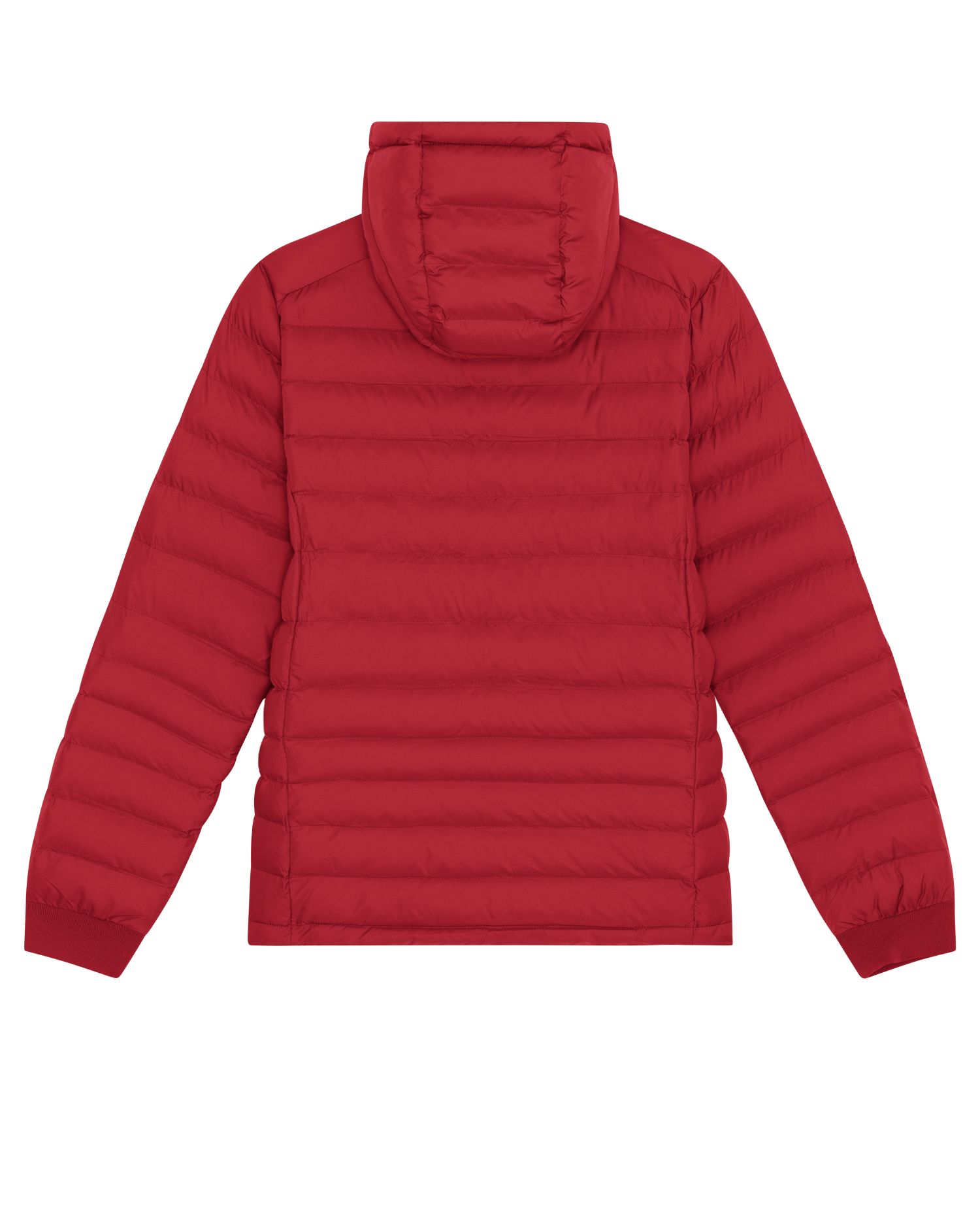 Women's Eco Padded Jacket | Stella Voyager STJW839
