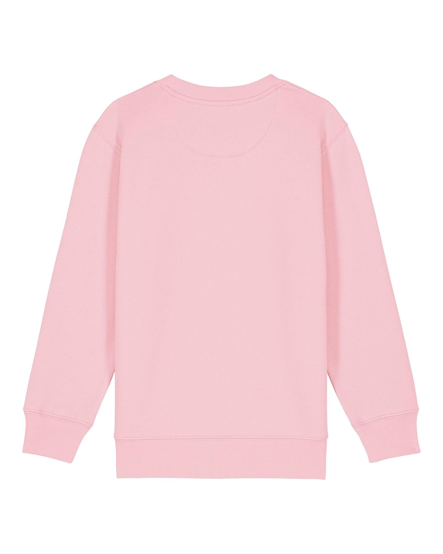 Sweatshirt Enfant Col Rond Bio - 300 GSM | Mini Changer 2.0 STSK181