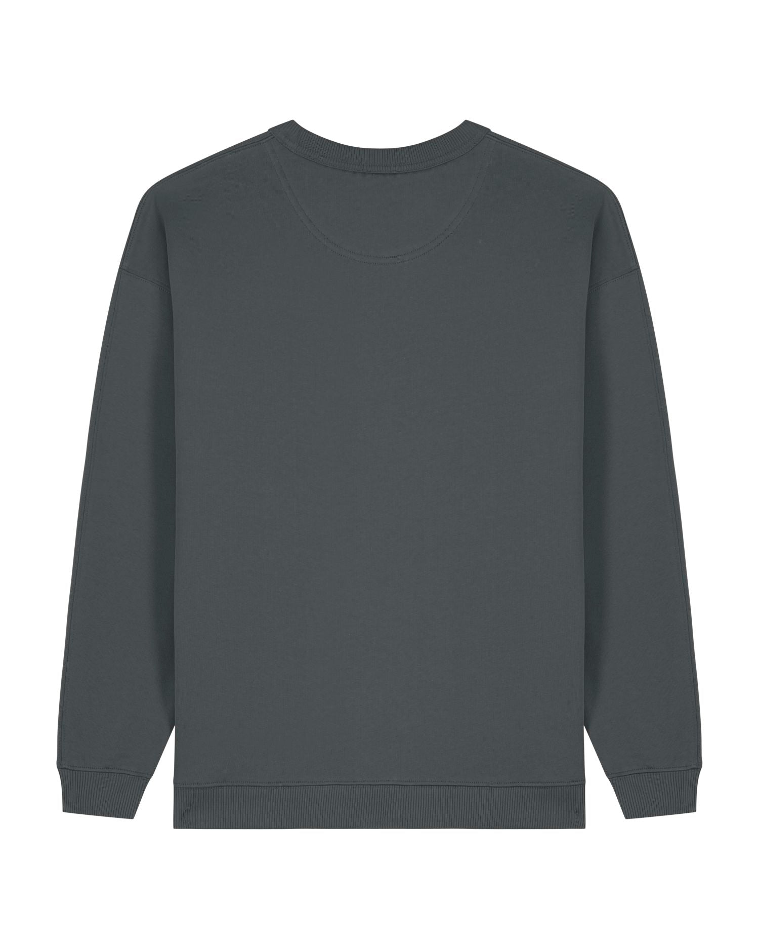 Dames Oversized Organisch Katoenen Crew Neck Sweatshirt - 300 GSM | Stella Paloma STSW218