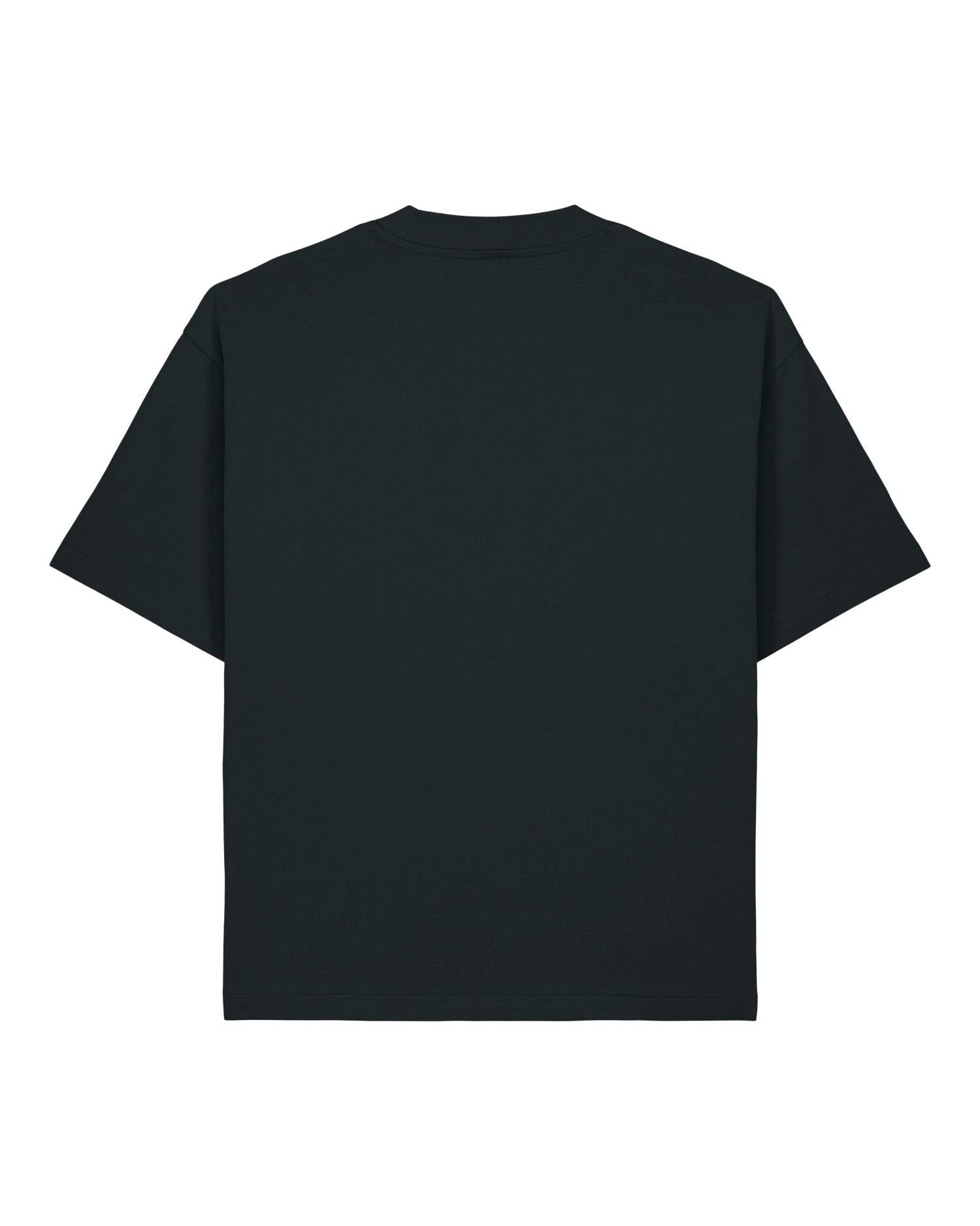 Unisex Oversized T-Shirt – 280 GSM | Asher STTU078