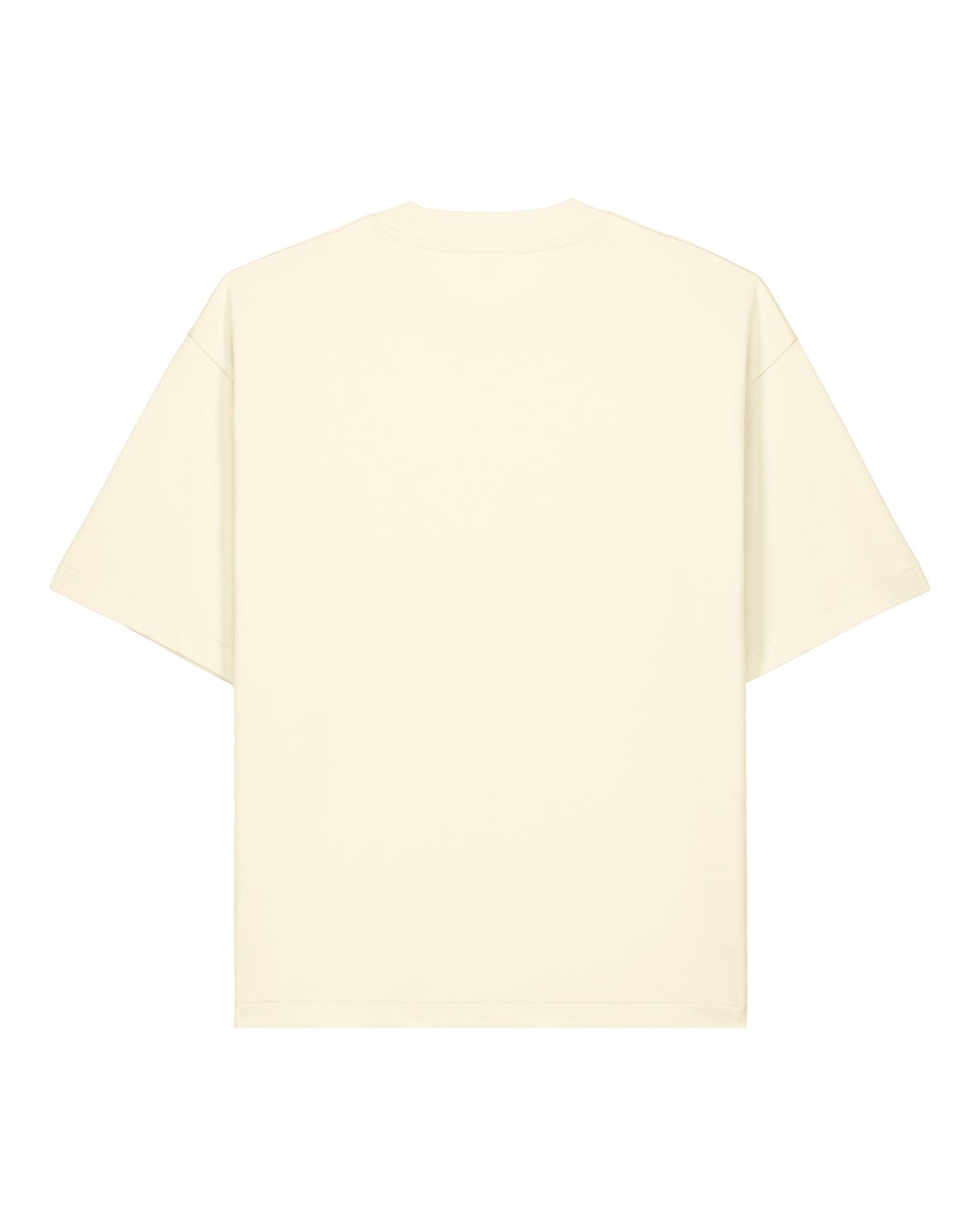 Unisex Oversized T-Shirt – 280 GSM | Asher STTU078