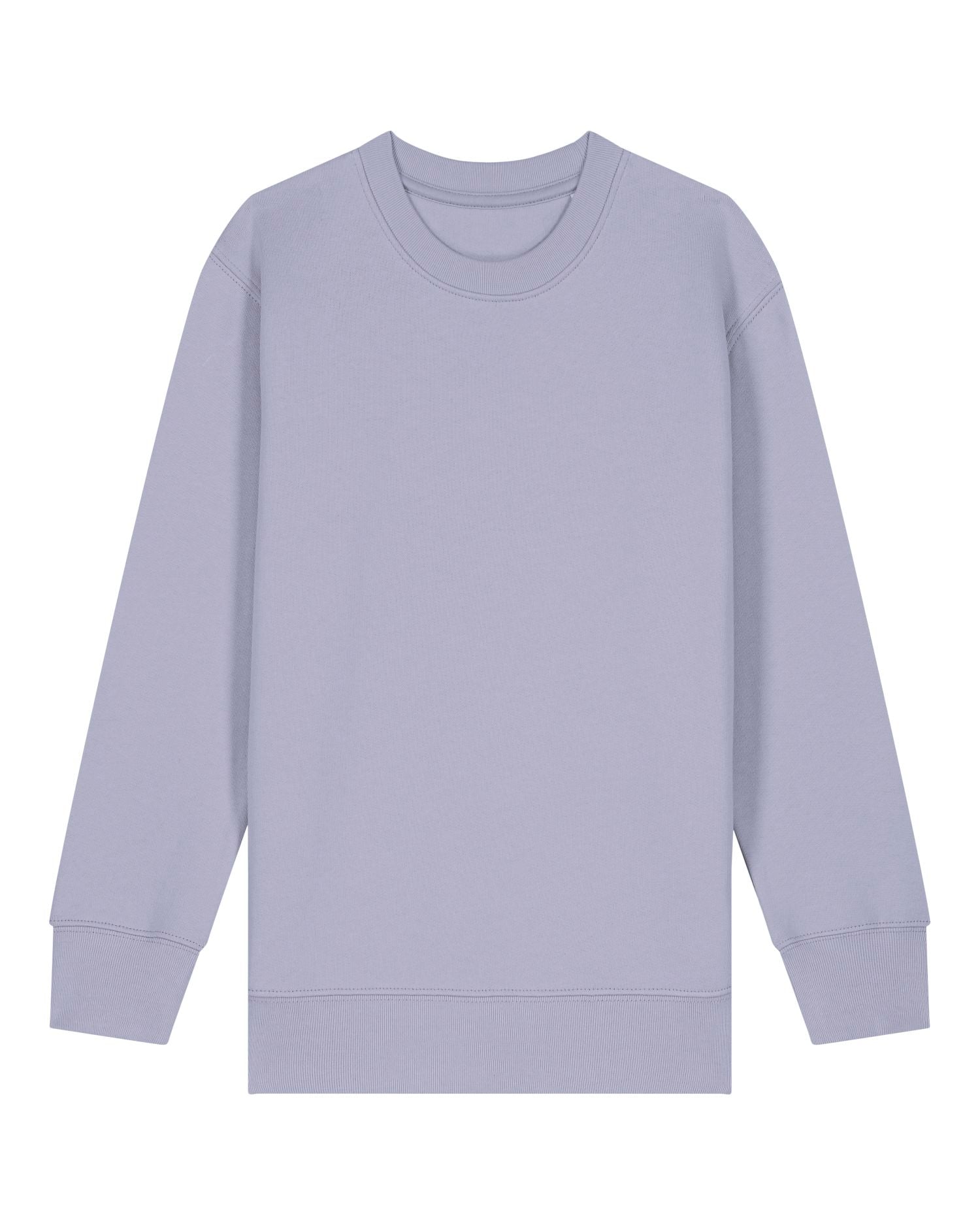 Sweatshirt Enfant Col Rond Bio - 300 GSM | Mini Changer 2.0 STSK181