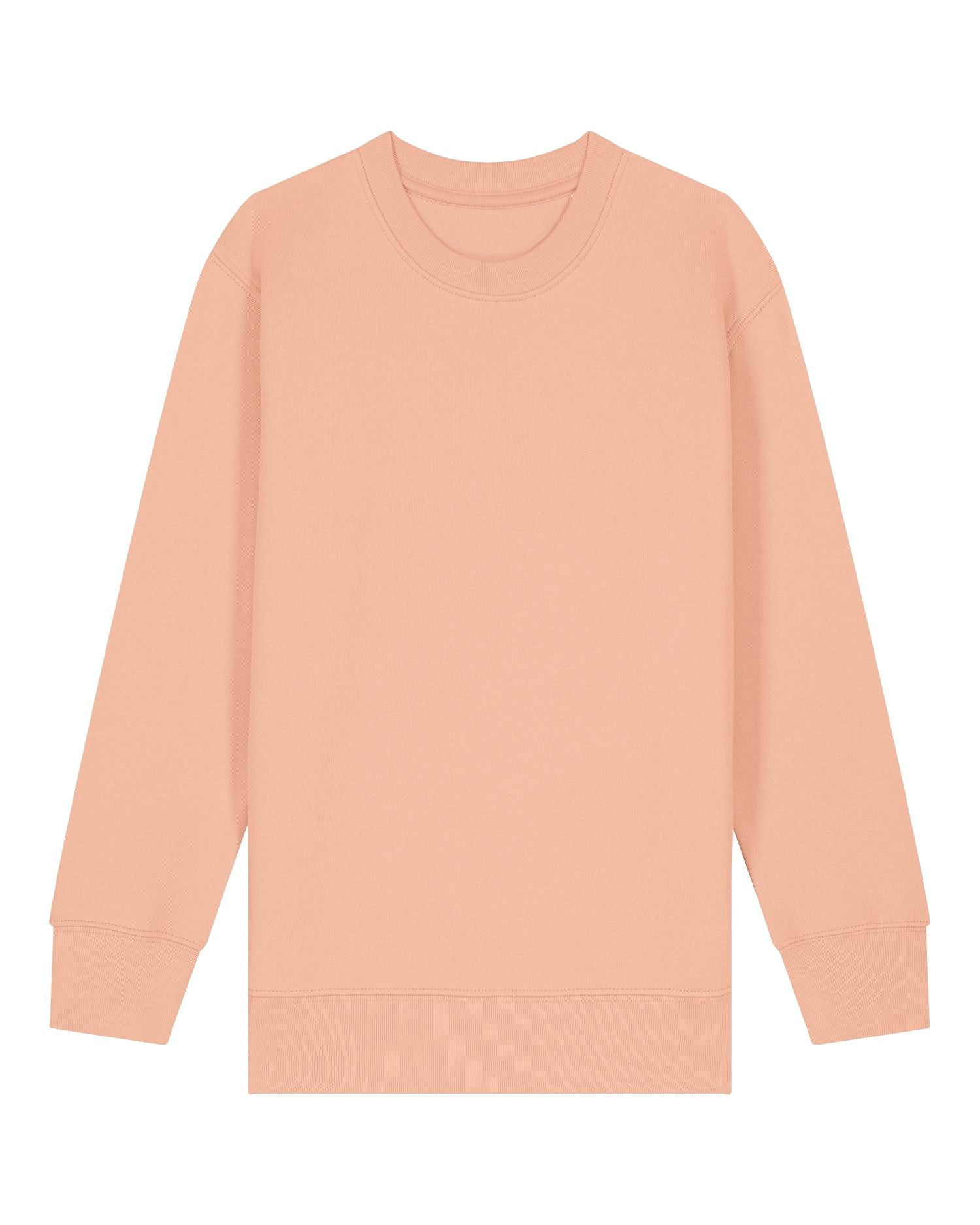 Sweatshirt Enfant Col Rond Bio - 300 GSM | Mini Changer 2.0 STSK181