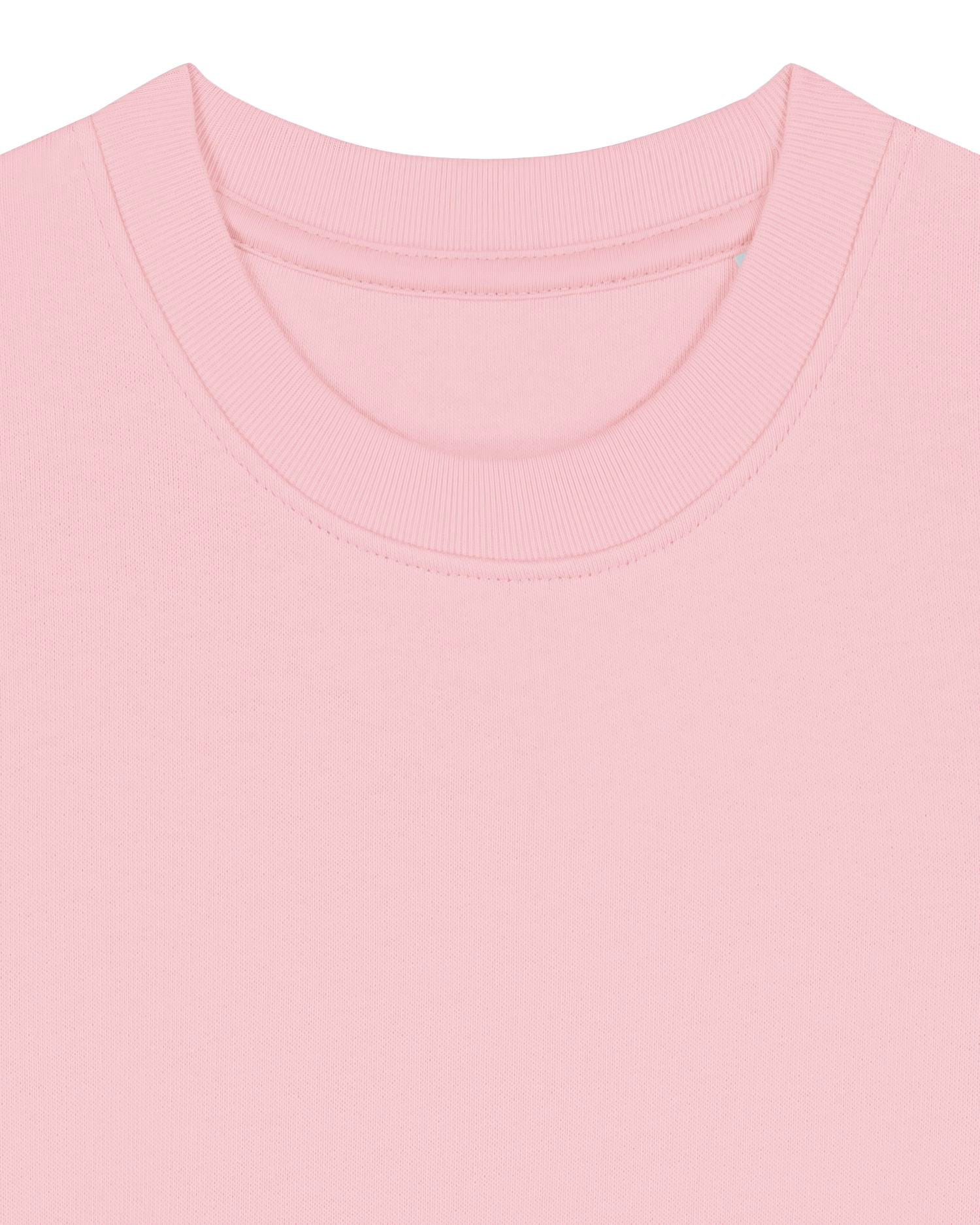 Sweatshirt Enfant Col Rond Bio - 300 GSM | Mini Changer 2.0 STSK181