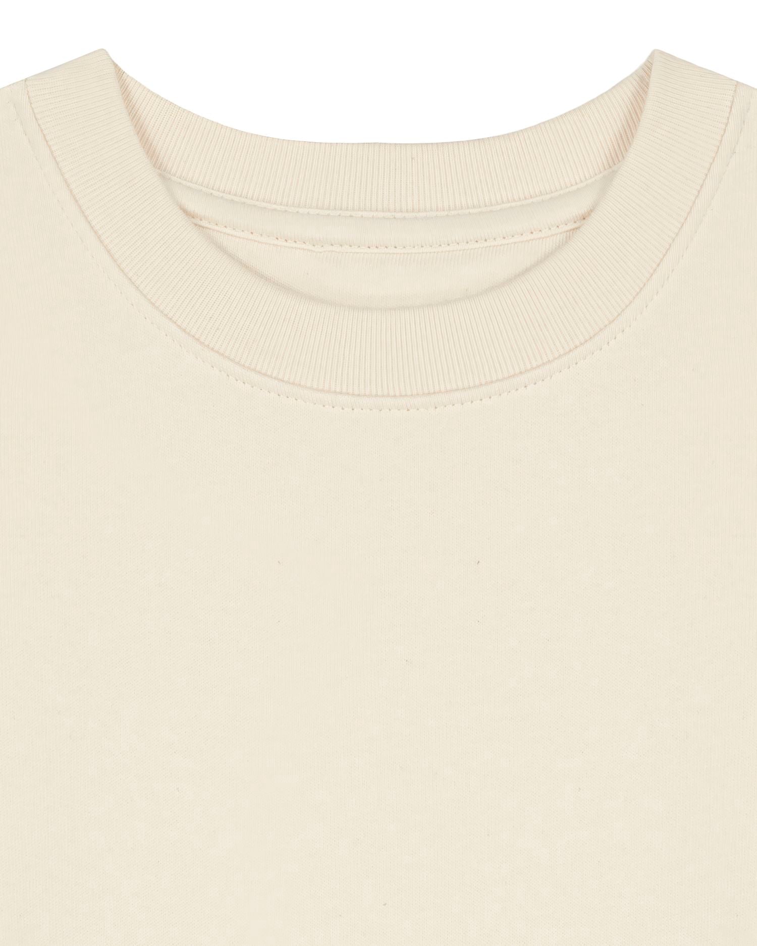 Sweatshirt Enfant Col Rond Bio - 300 GSM | Mini Changer 2.0 STSK181