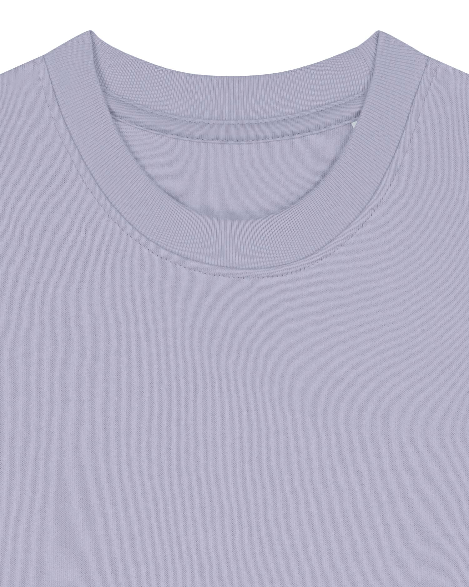 Sweatshirt Enfant Col Rond Bio - 300 GSM | Mini Changer 2.0 STSK181
