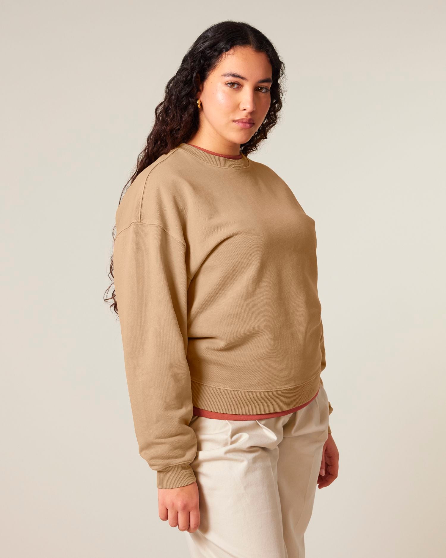 Unisex Organic Oversized Garment Dyed Crew Neck Sweatshirt - 380 GSM | Radder 2.0 Vintage STSU210