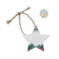 Sternförmiger Weihnachtsanhänger aus Wildblumen-Samenpapier | STARSEED CX1516