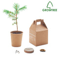 Pine Tree Seed Set in Paper | GROWTREE MO6228