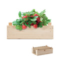 Kweekset met compost in houten krat | STRAWBERRY MO6506