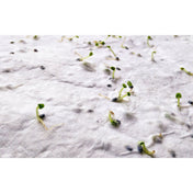 A5 Wildflower Seed Paper Sheet | ASIDE - MO6915