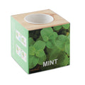 Kruidenpot Hout "mint" | MENTA - MO9337