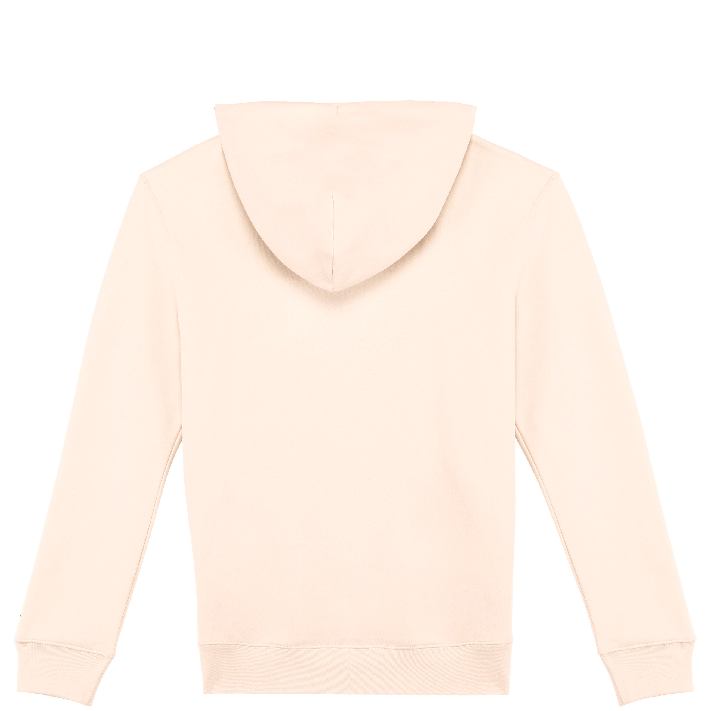 Unisex Hooded Sweatshirt - 350gsm - NS401