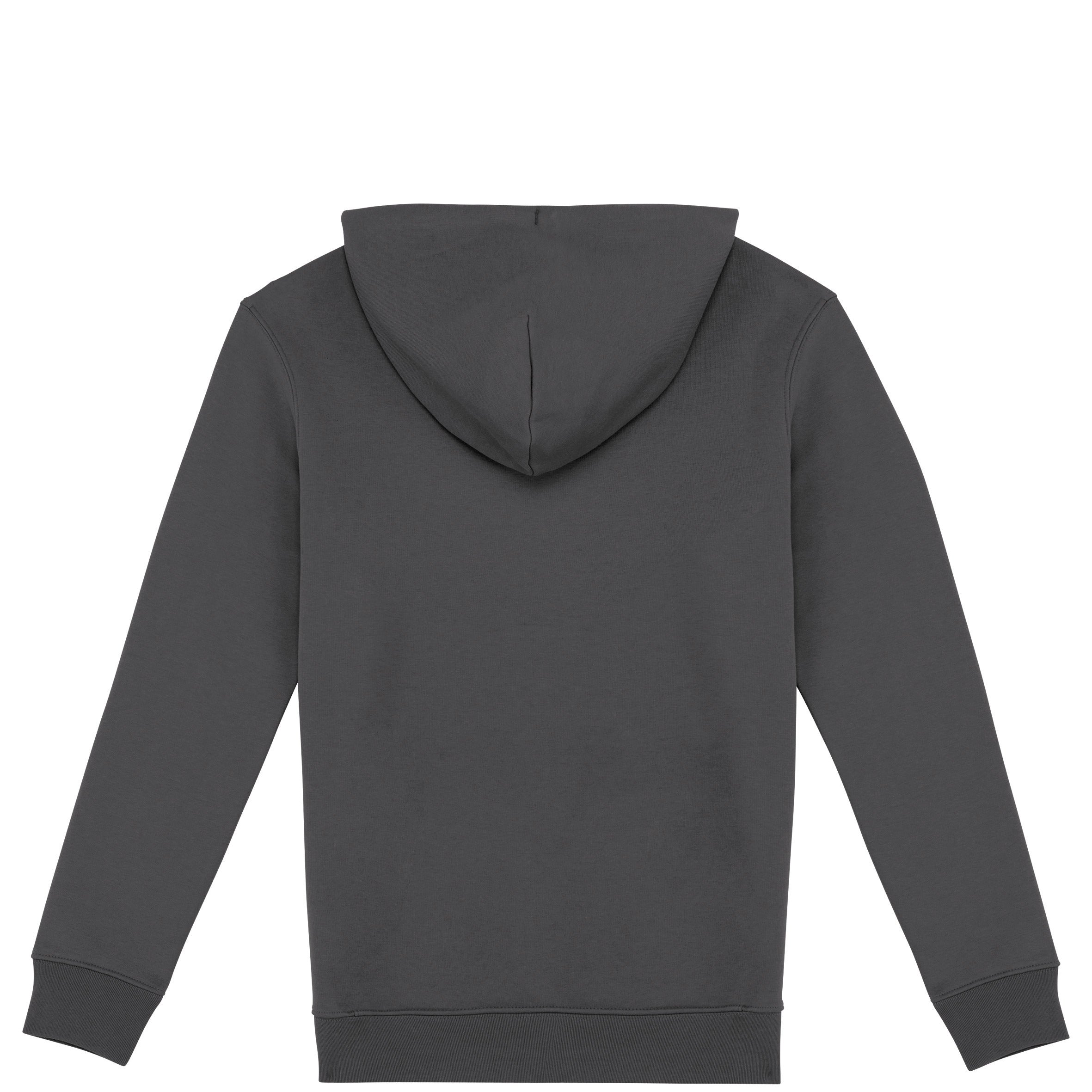 Unisex Hooded Sweatshirt - 350gr - NS401