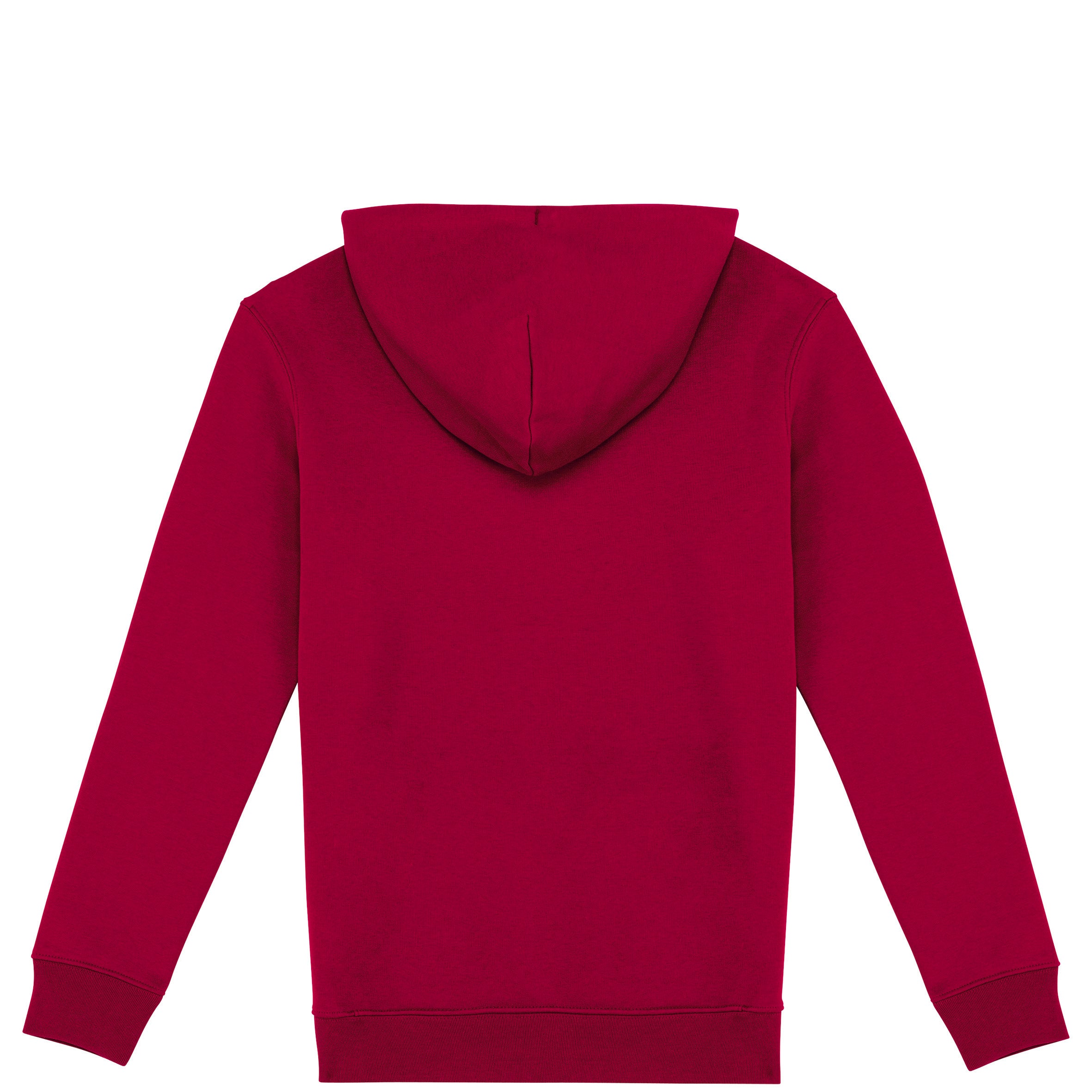 Unisex Hooded Sweatshirt - 350gr - NS401