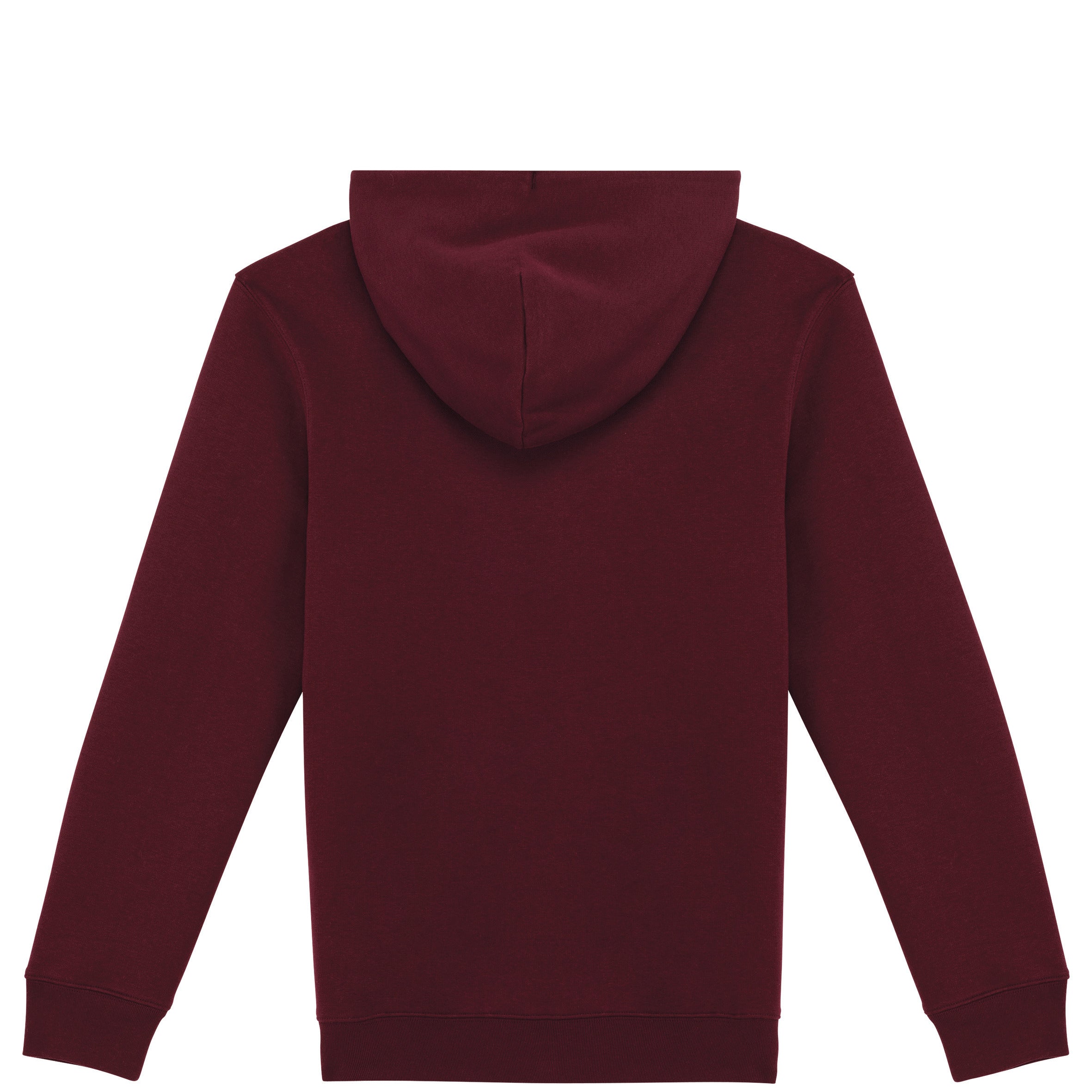 Unisex Hooded Sweatshirt - 350gsm - NS401