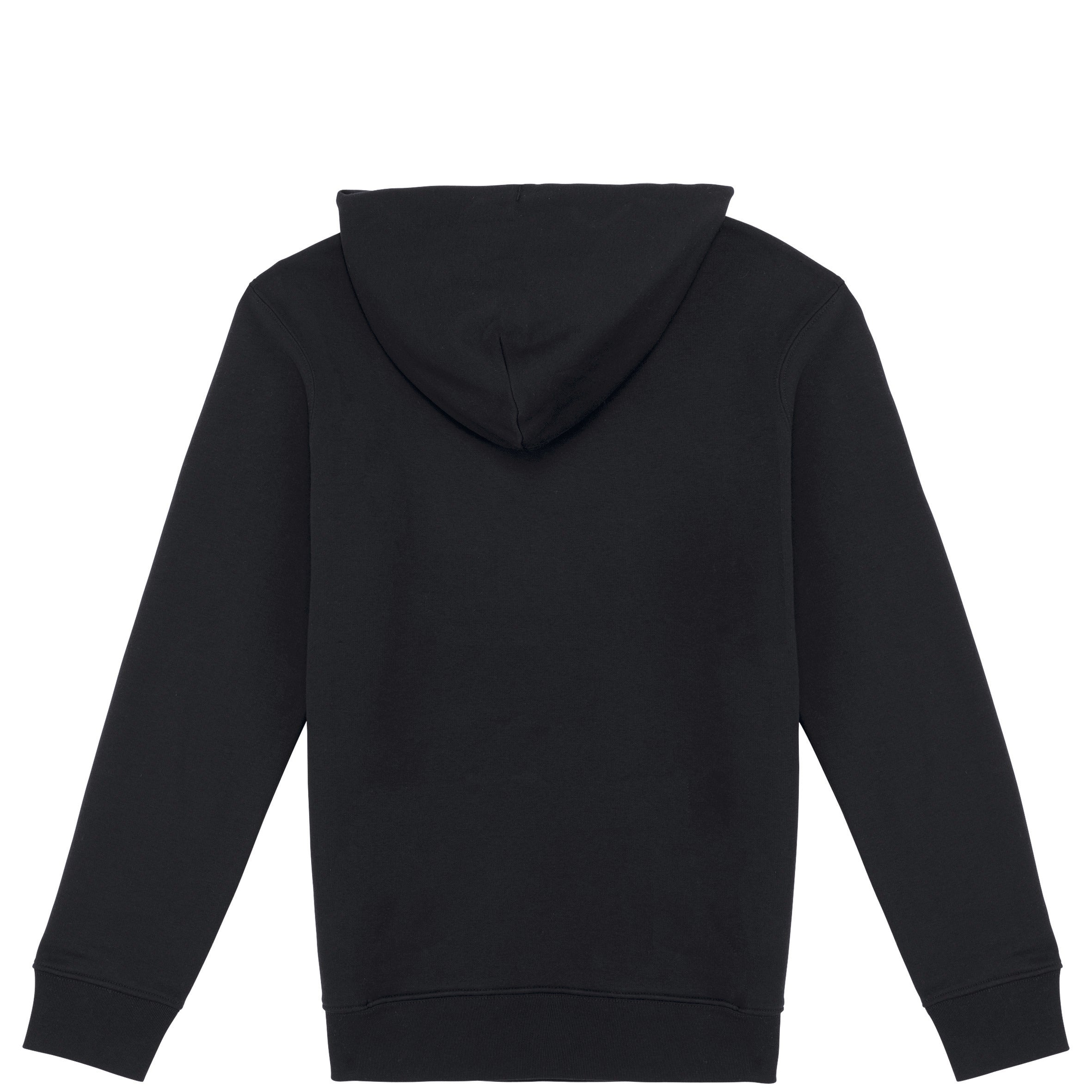 Unisex Hooded Sweatshirt - 350gr - NS401
