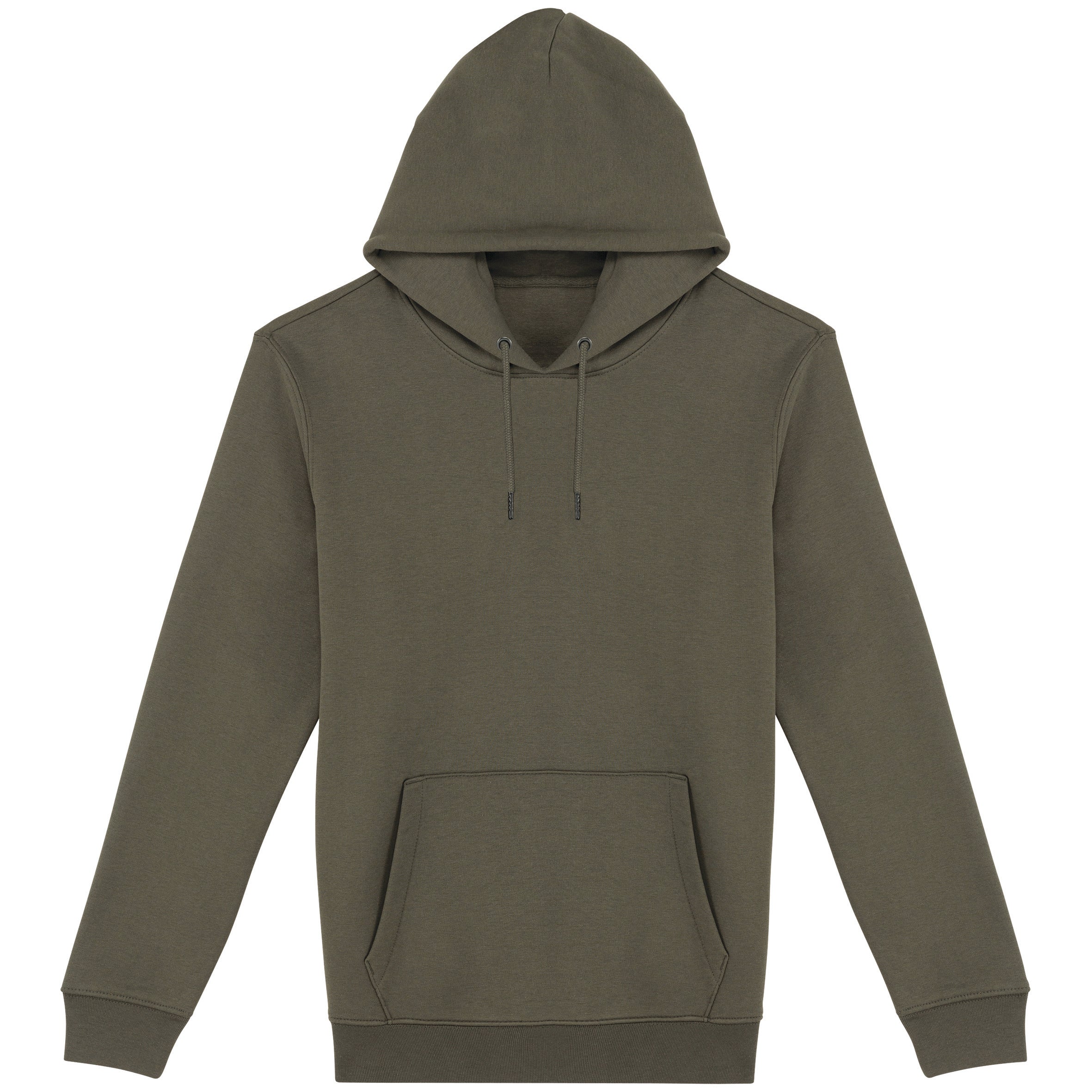 Unisex Hooded Sweatshirt - 350gr - NS401
