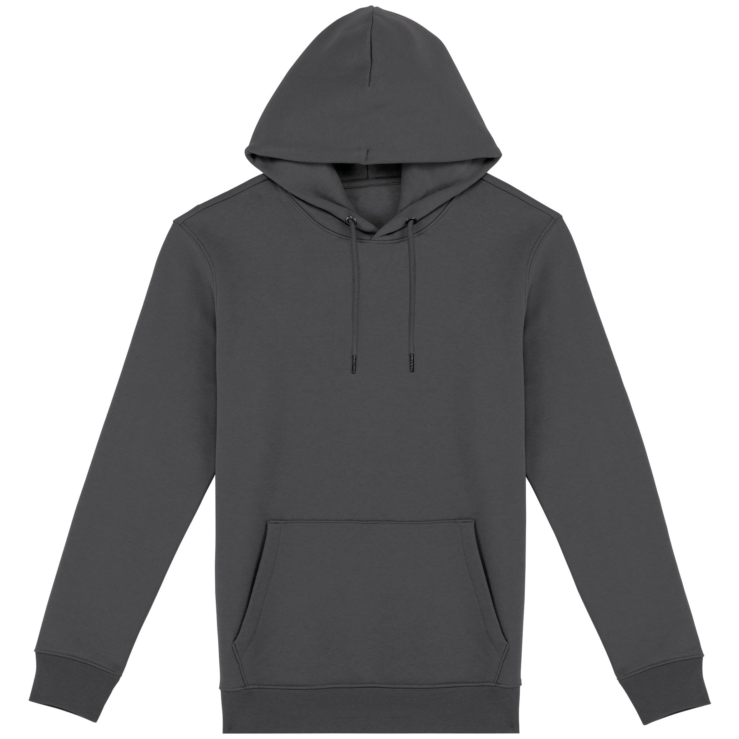 Unisex Hooded Sweatshirt - 350gr - NS401