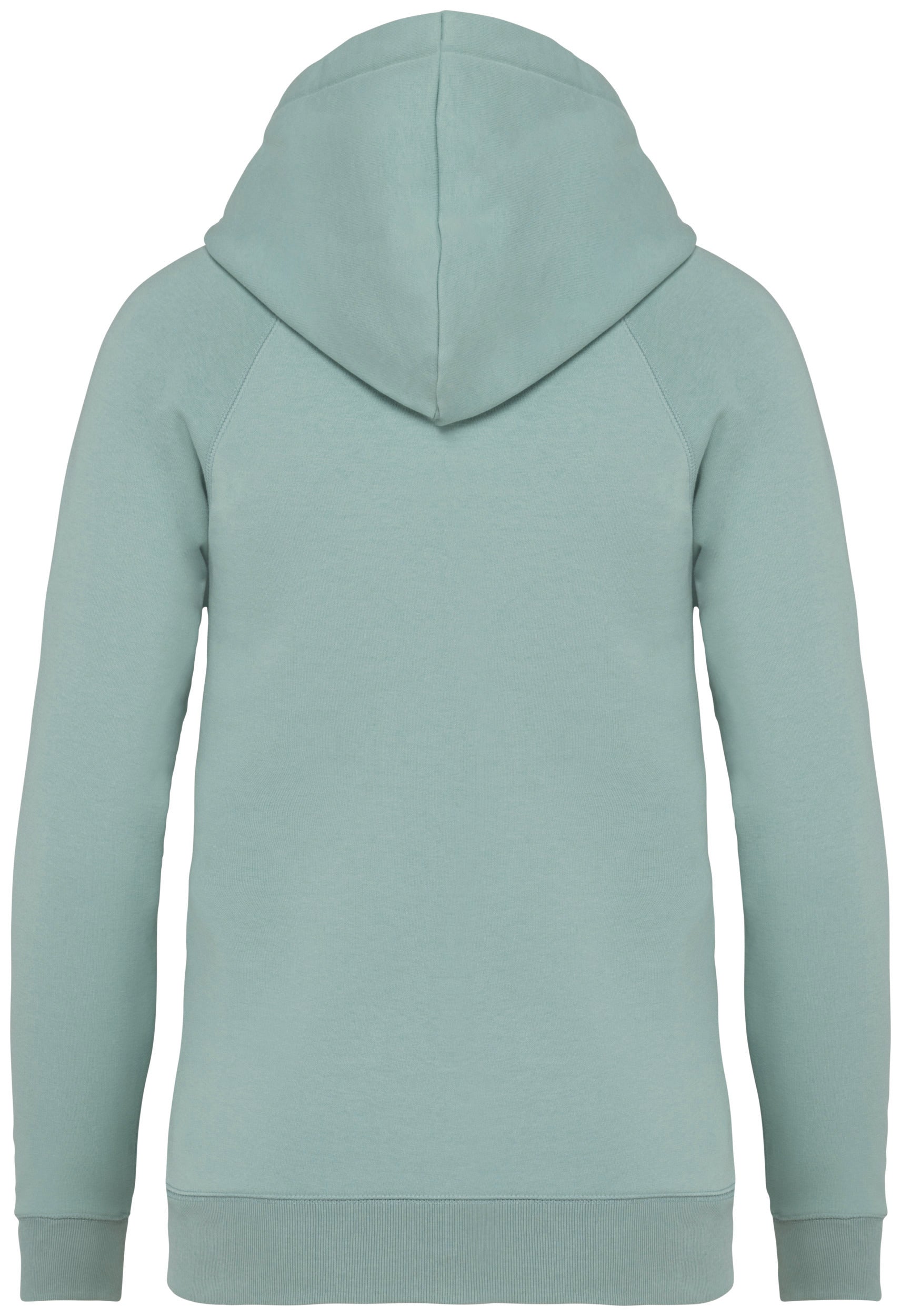 Ladies’ Hooded Sweatshirt With Raglan Sleeves - 350gsm - NS422