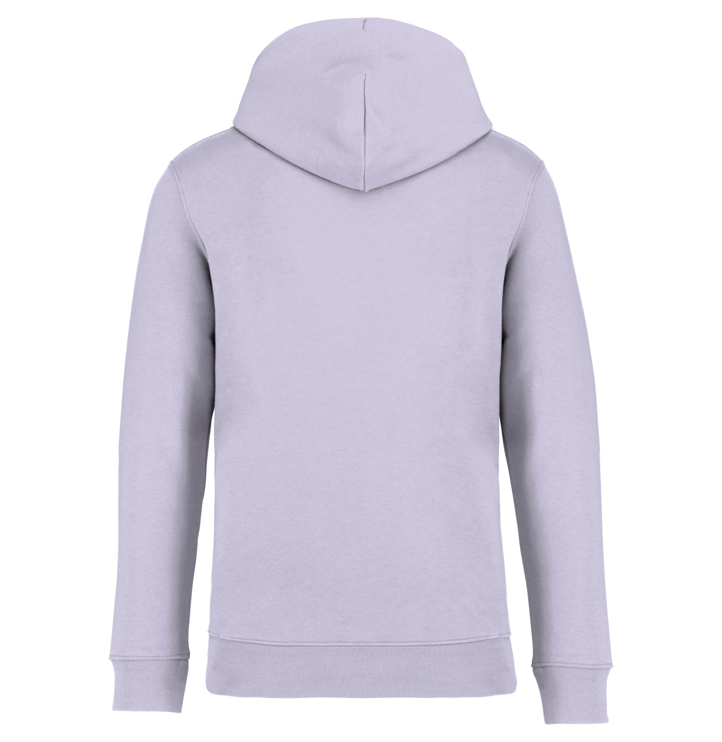 Unisex Hooded Sweatshirt - 350gsm - NS401