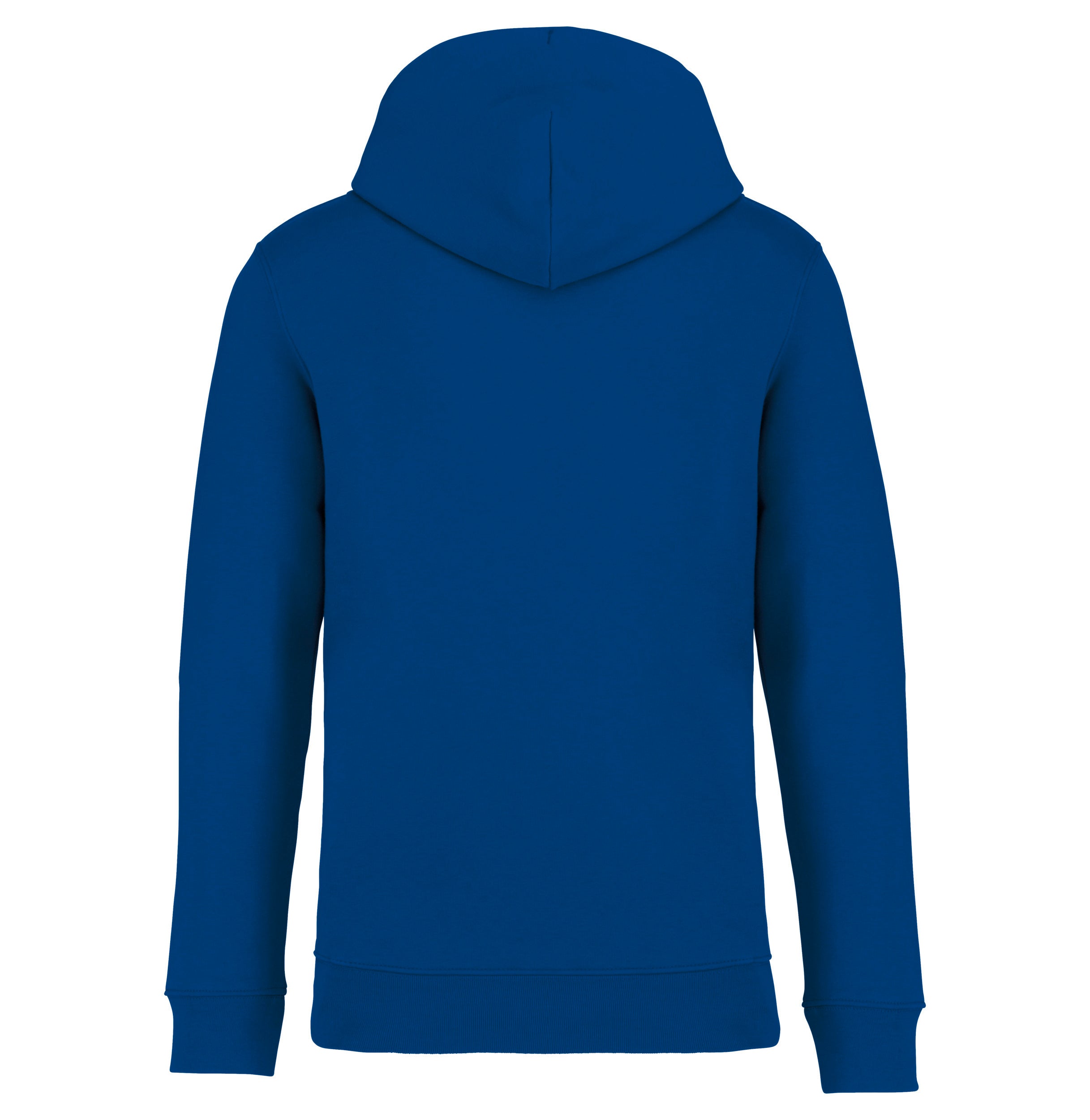 Unisex Hooded Sweatshirt - 350gsm - NS401
