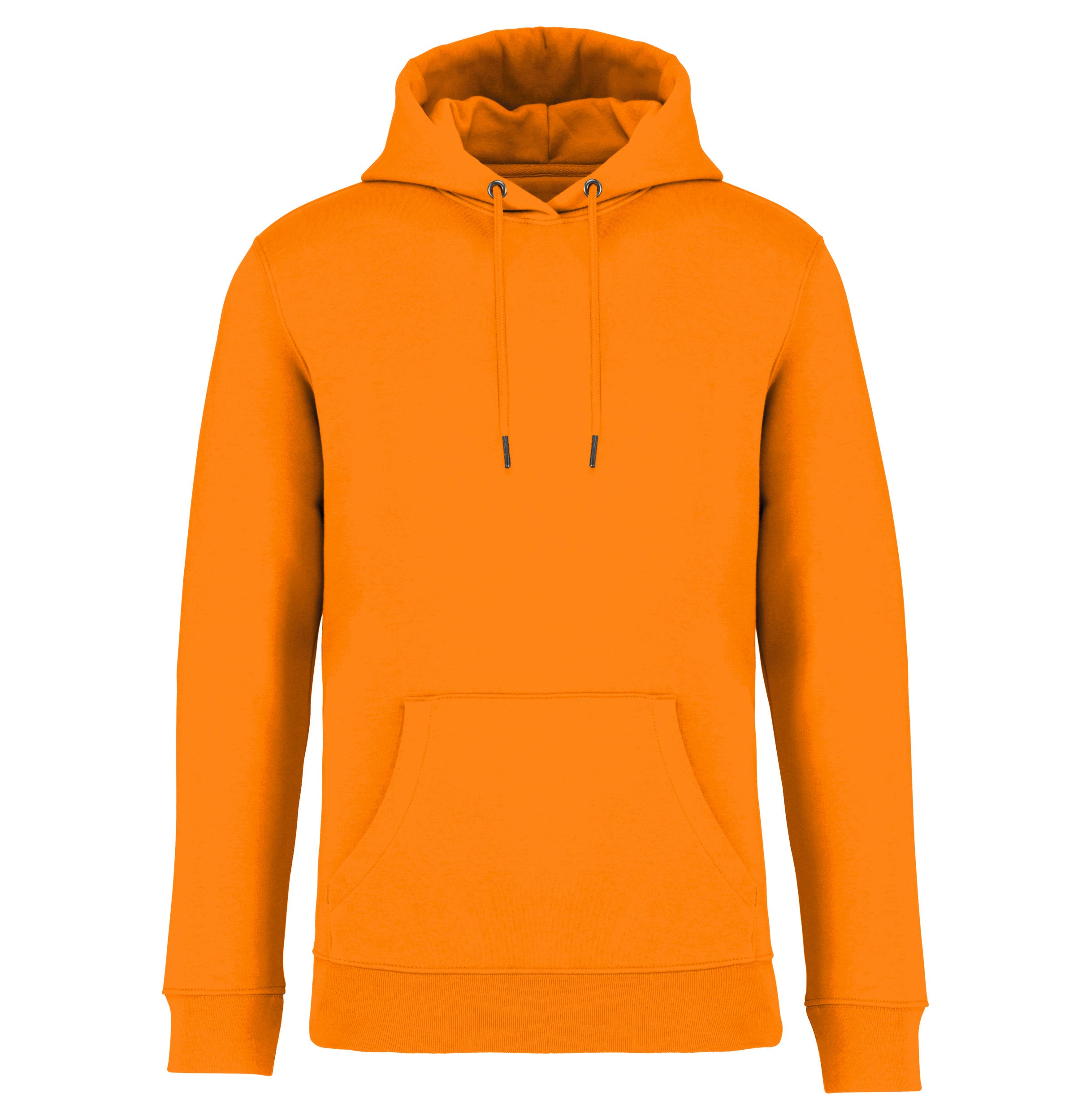 Unisex Hooded Sweatshirt - 350gr - NS401