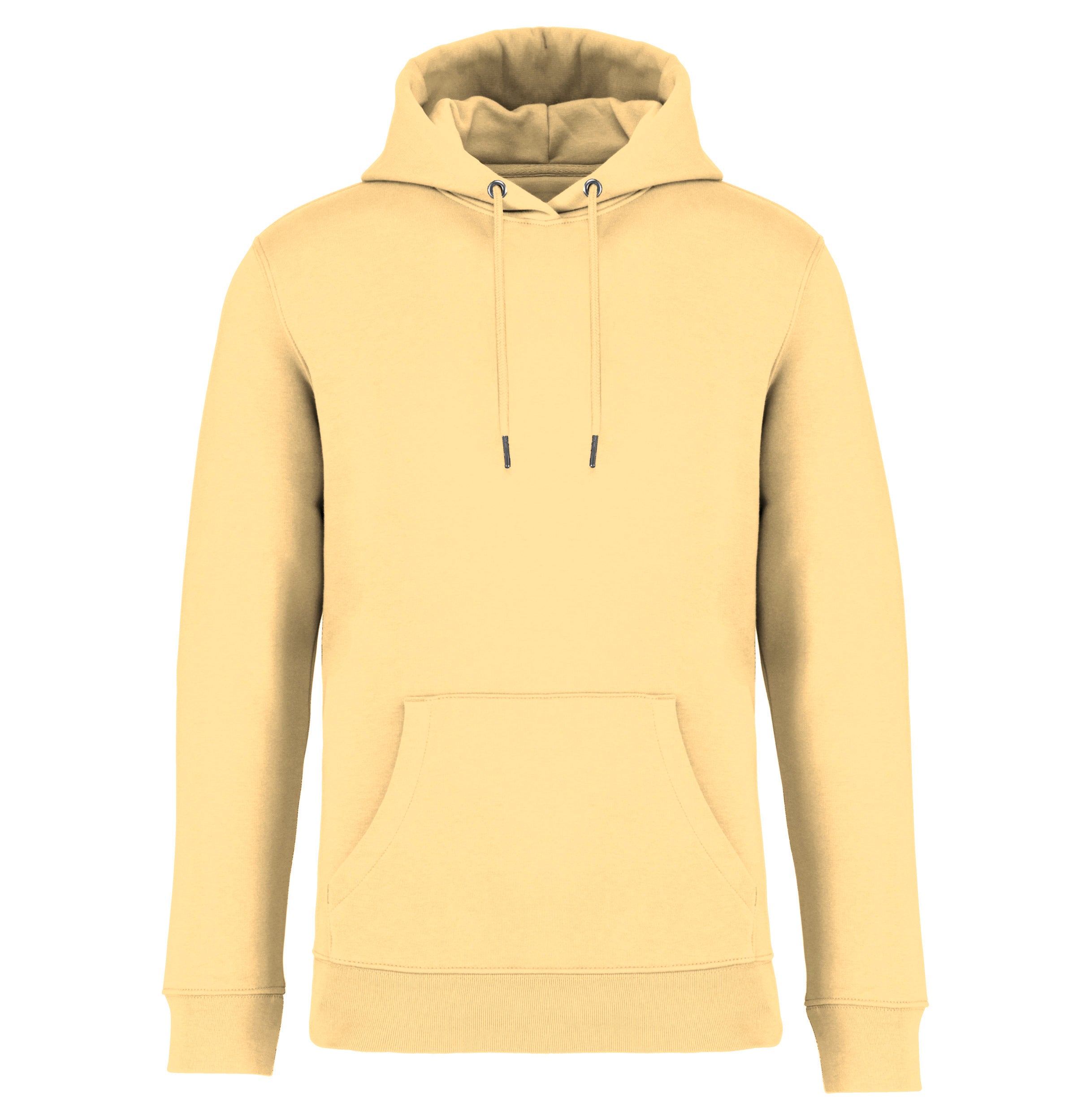 Unisex Hooded Sweatshirt - 350gsm - NS401