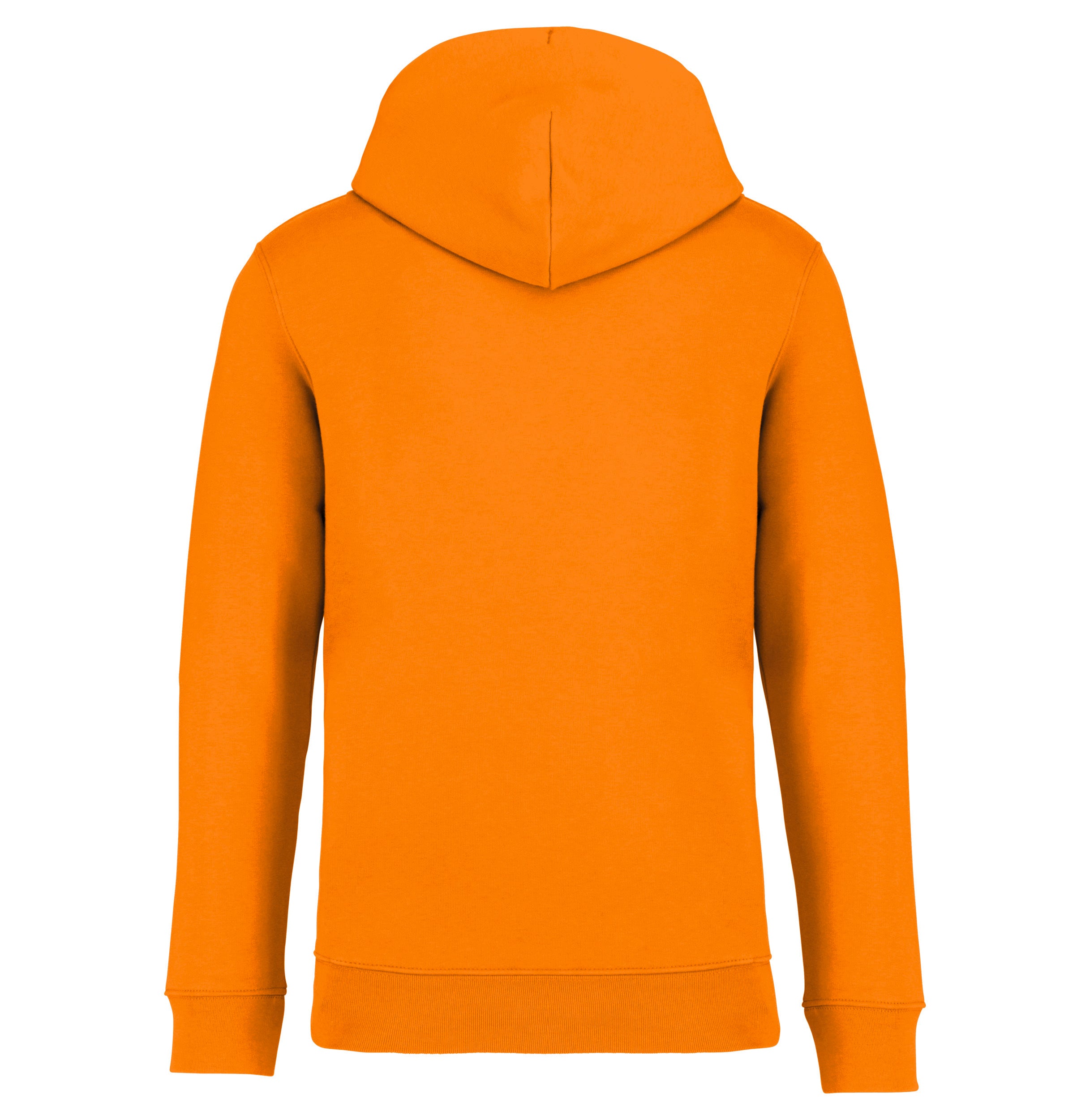 Unisex Hooded Sweatshirt - 350gr - NS401