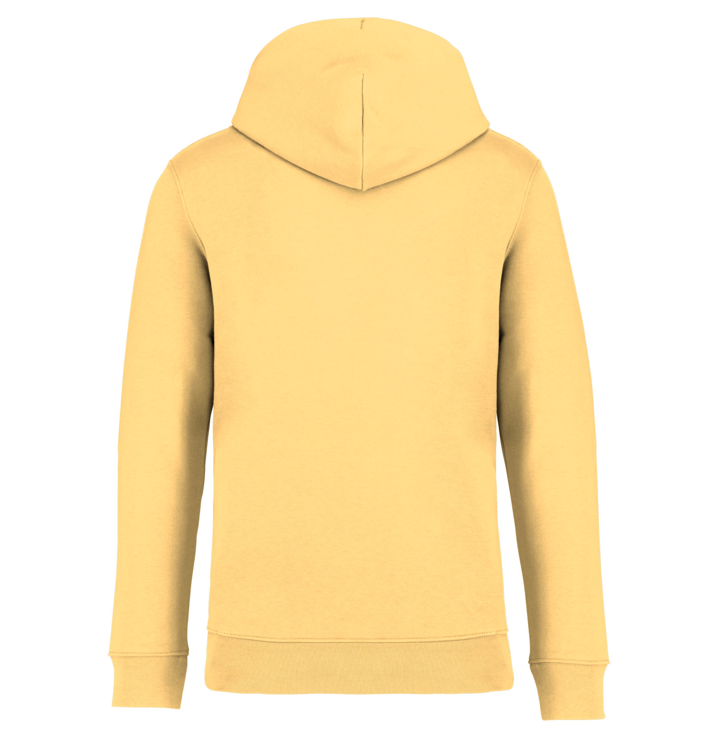 Unisex Hooded Sweatshirt - 350gsm - NS401