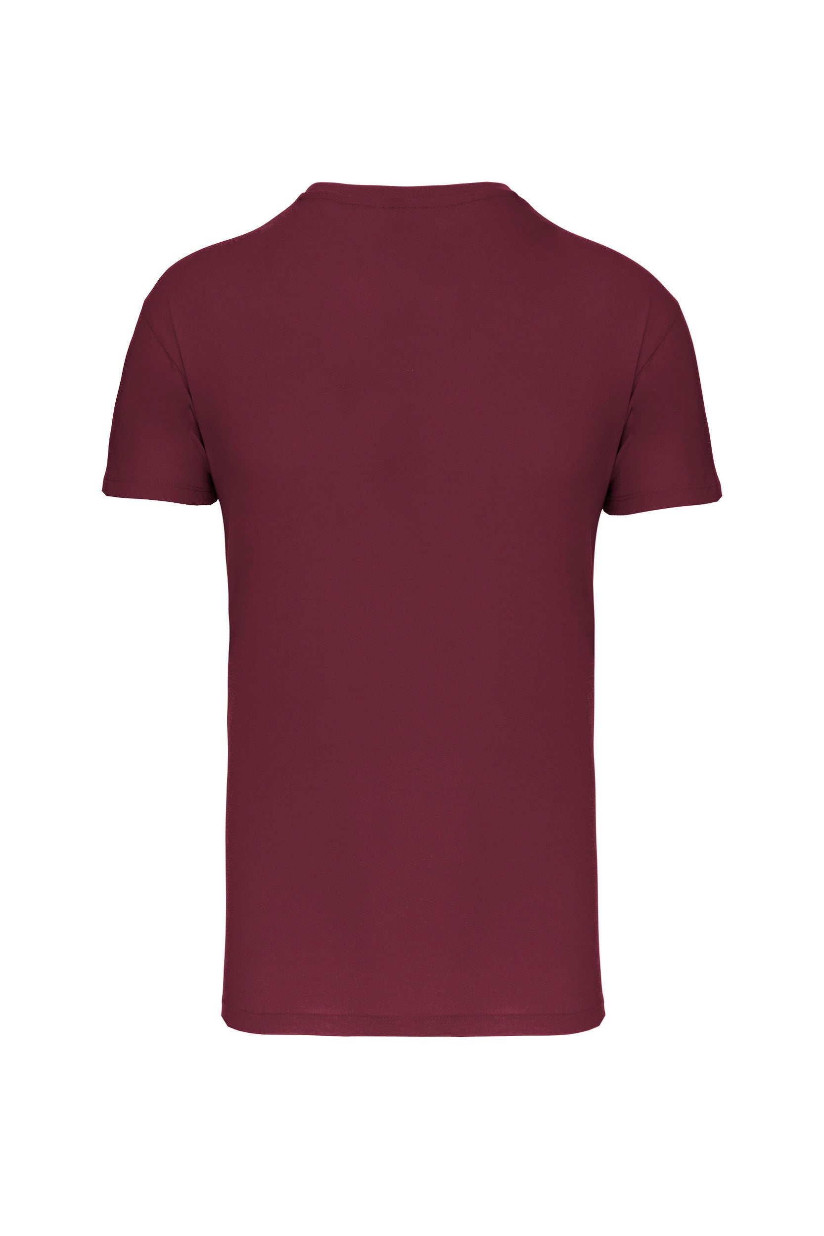 T-shirt col en V en coton biologique pour homme - 145 g/m² | K3028IC