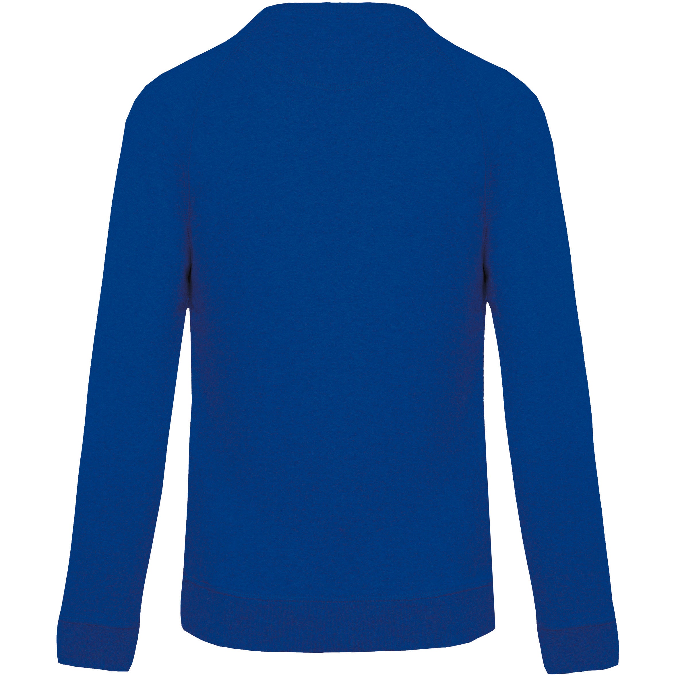 Kids' Organic Raglan Sleeve Sweatshirt - K490