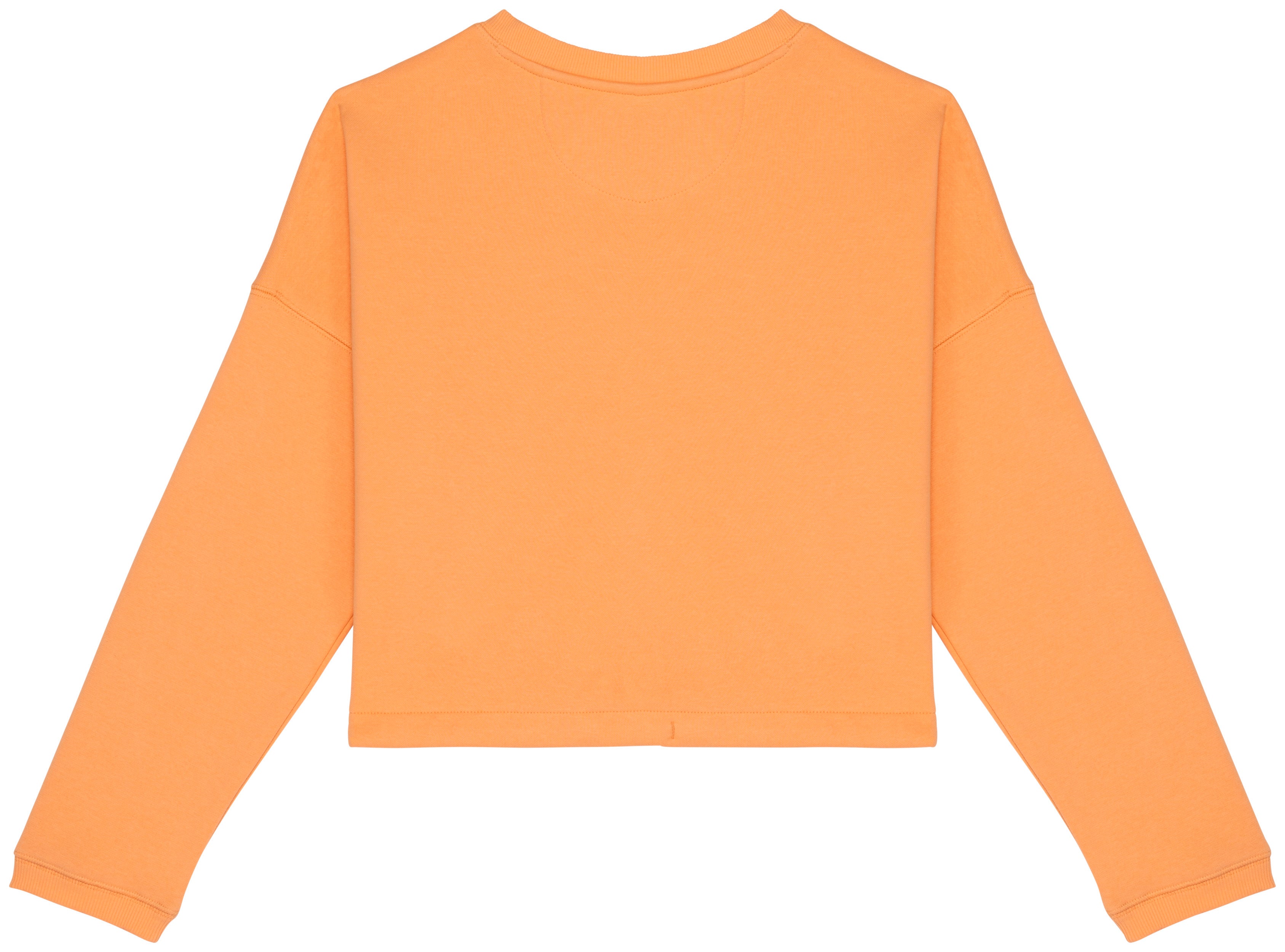 Ladies’ Crew Neck Sweatshirt - 280g - NS429