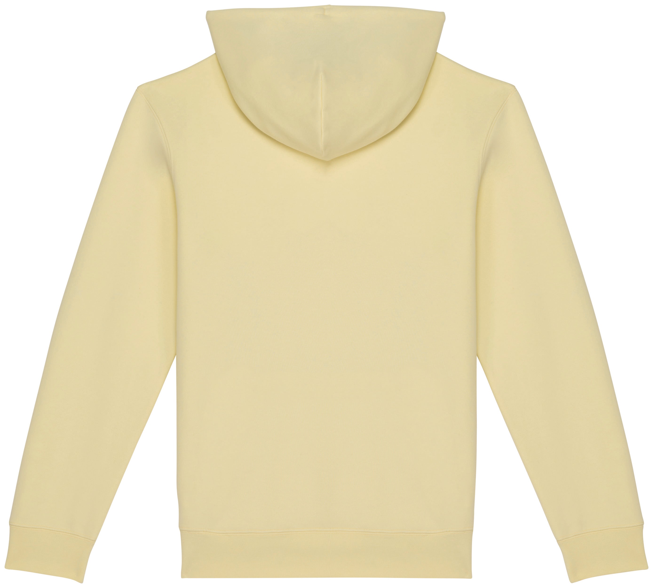 Unisex Hooded Sweatshirt - 350gr - NS401