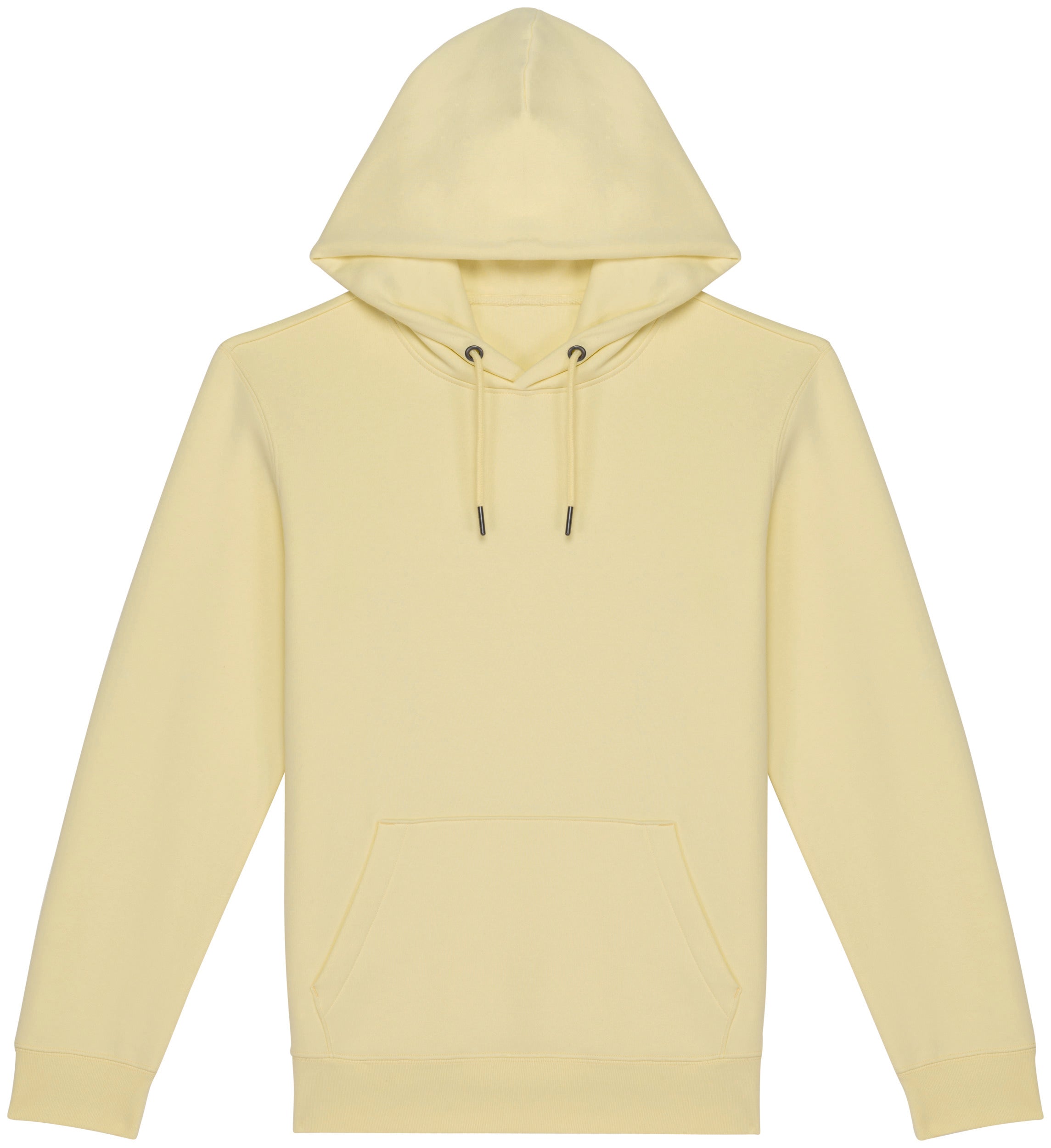 Unisex Hooded Sweatshirt - 350gr - NS401