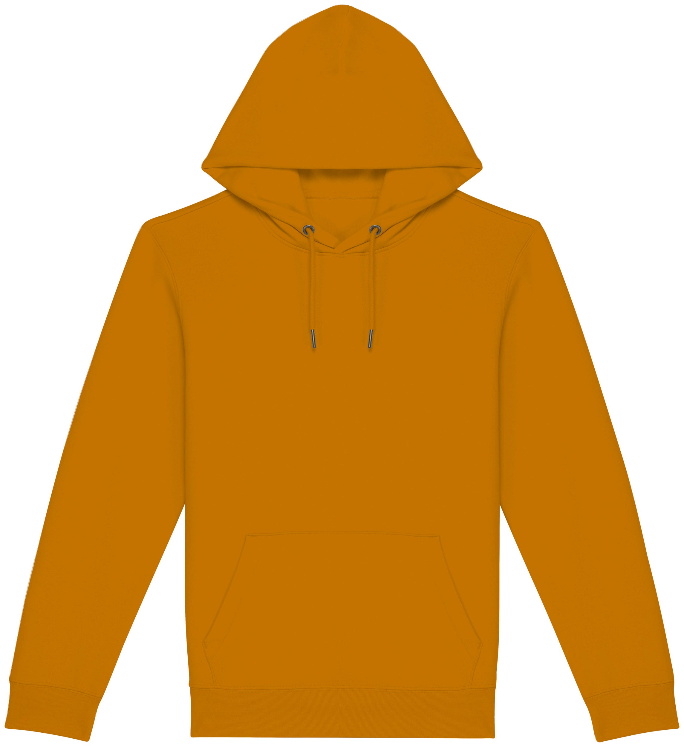 Unisex Hooded Sweatshirt - 350gr - NS401