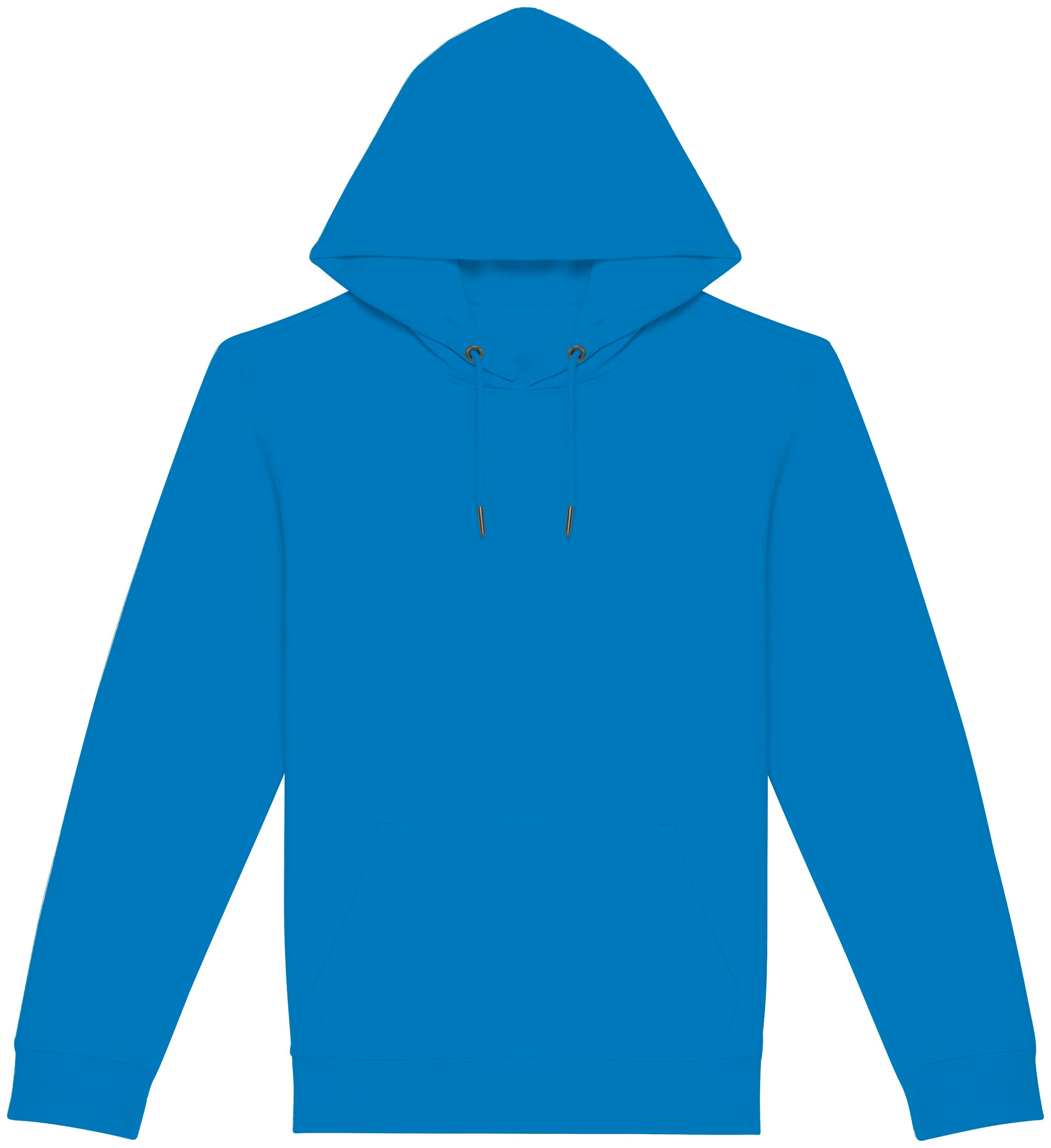 Unisex Hooded Sweatshirt - 350gr - NS401