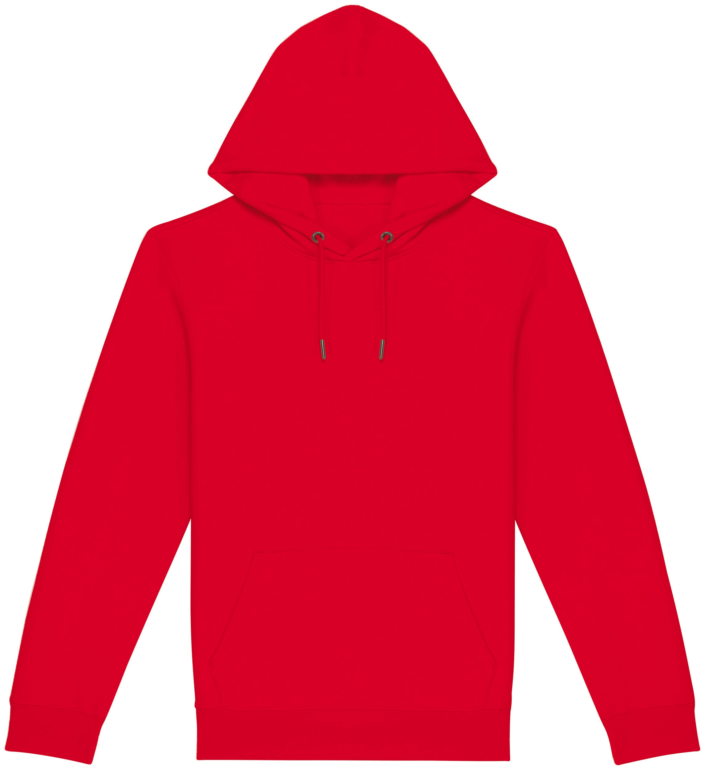 Unisex Hooded Sweatshirt - 350gr - NS401