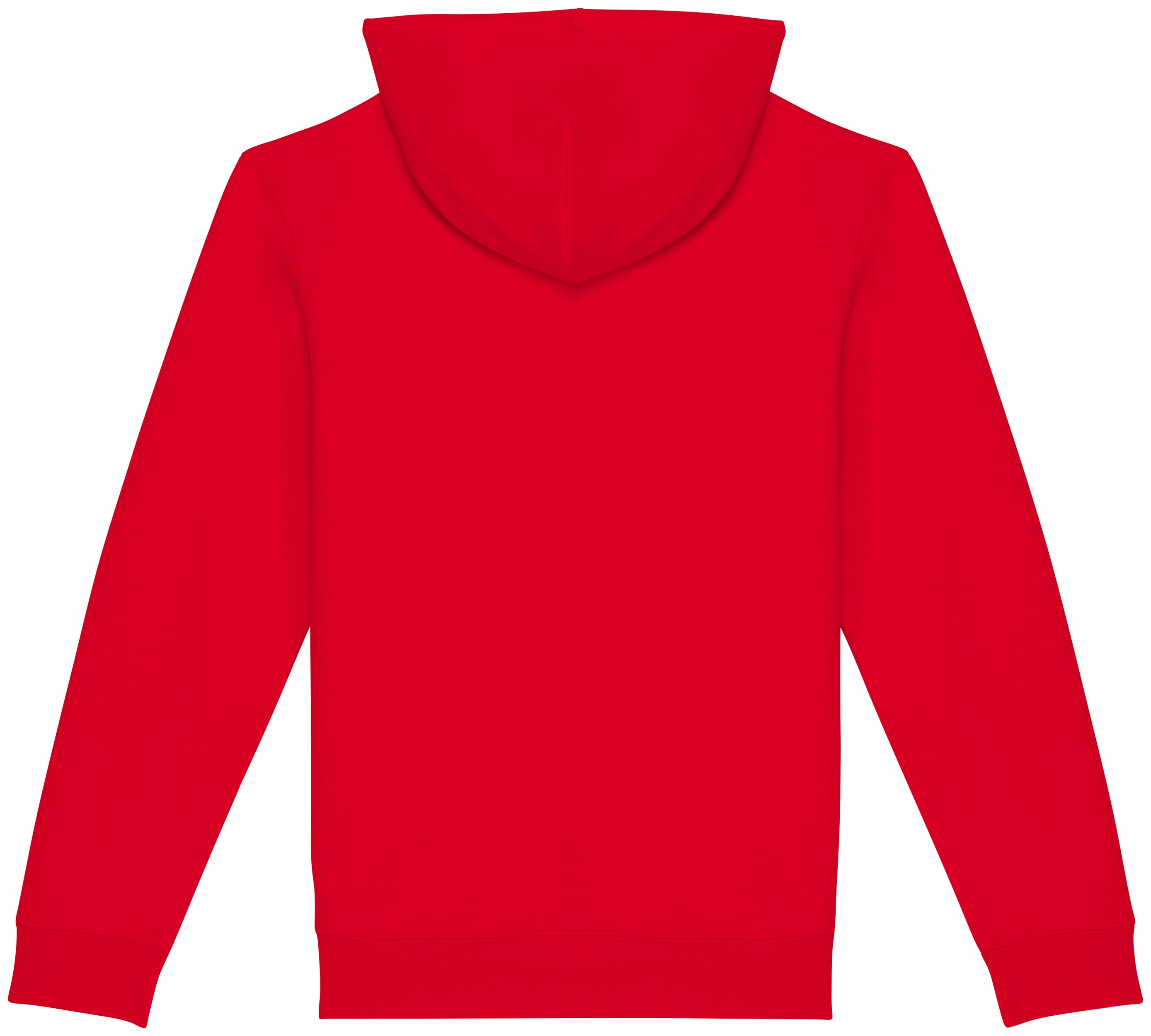 Unisex Hooded Sweatshirt - 350gsm - NS401