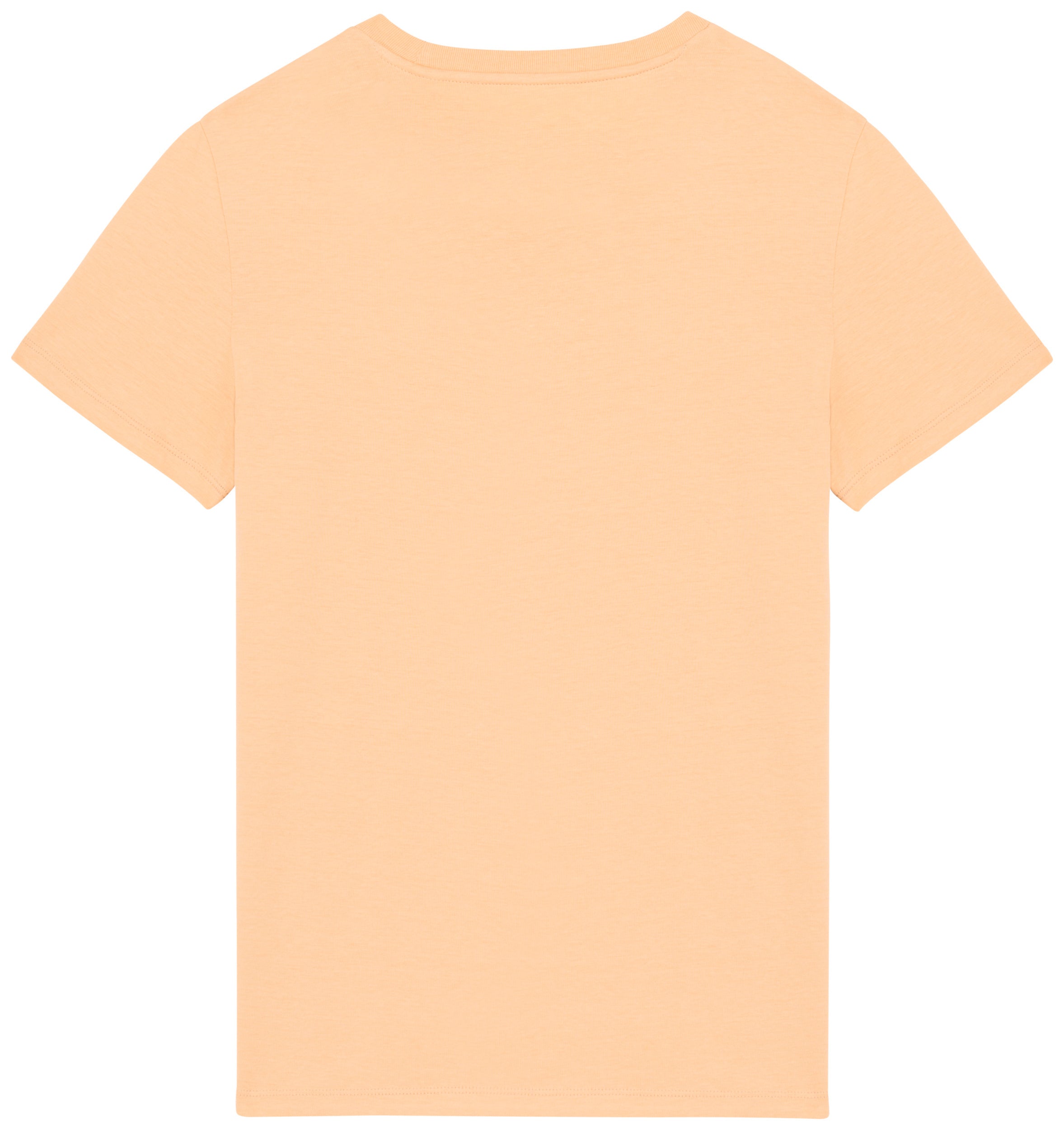 Camiseta unisex 180 gsm - NS305