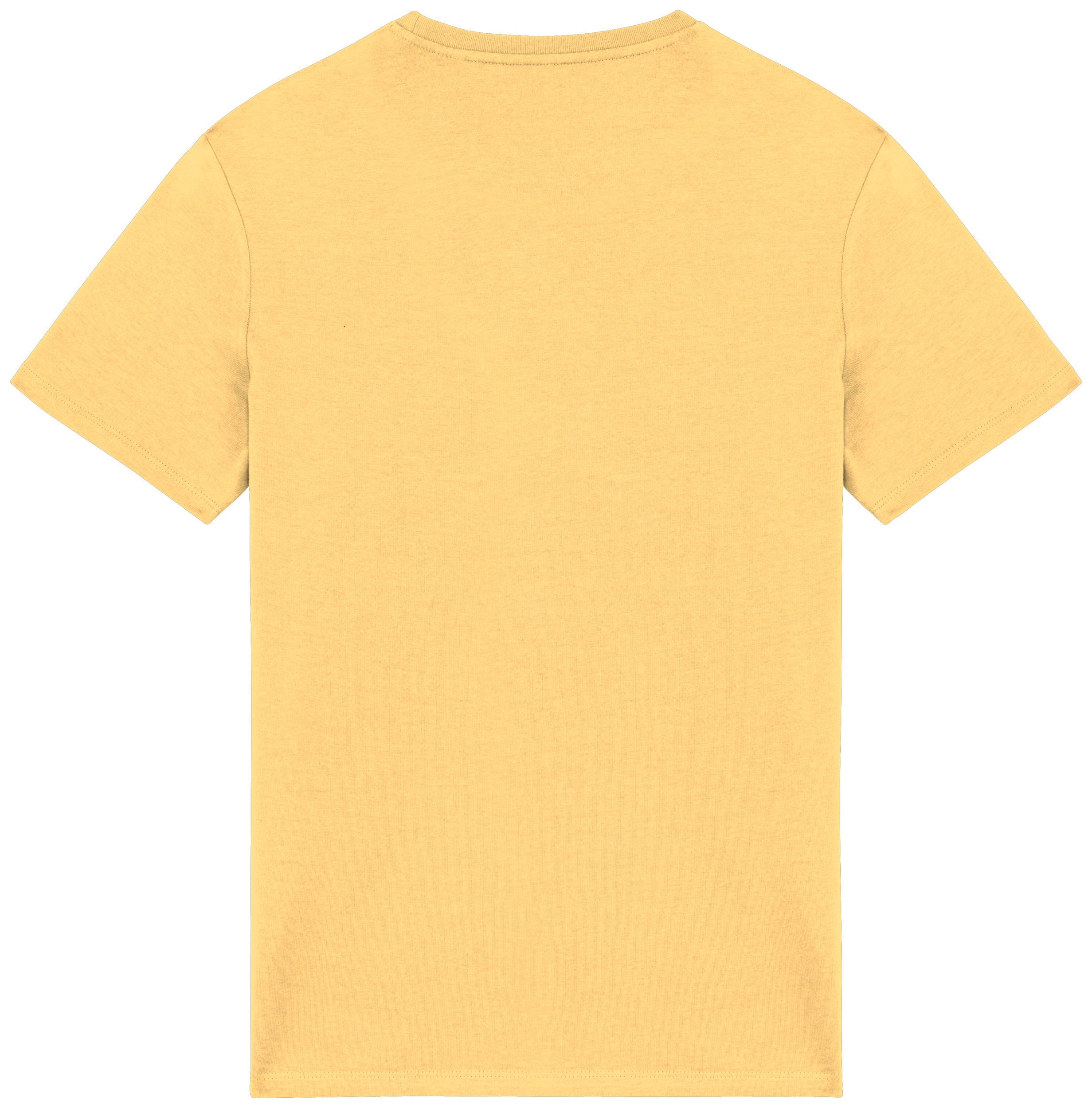 Camiseta unisex 180 gsm - NS305