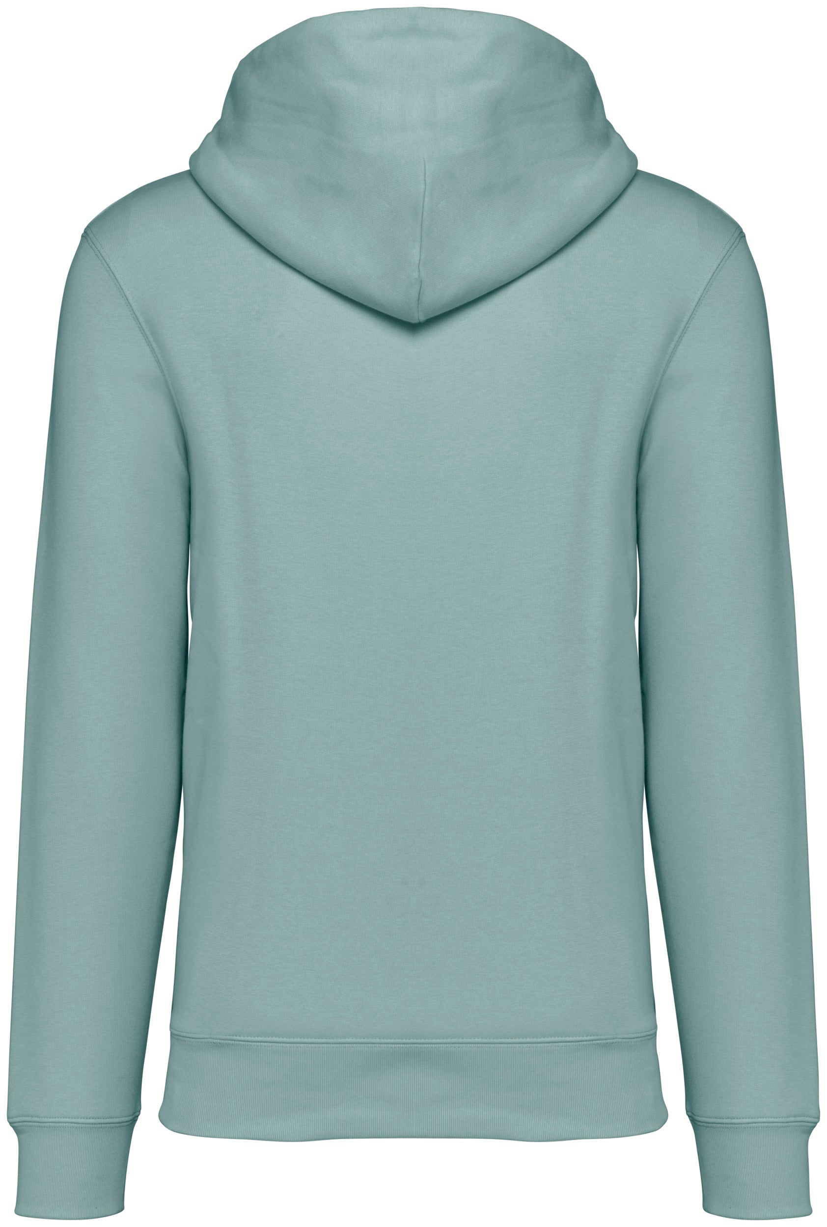 Unisex Hooded Sweatshirt - 350gsm - NS401