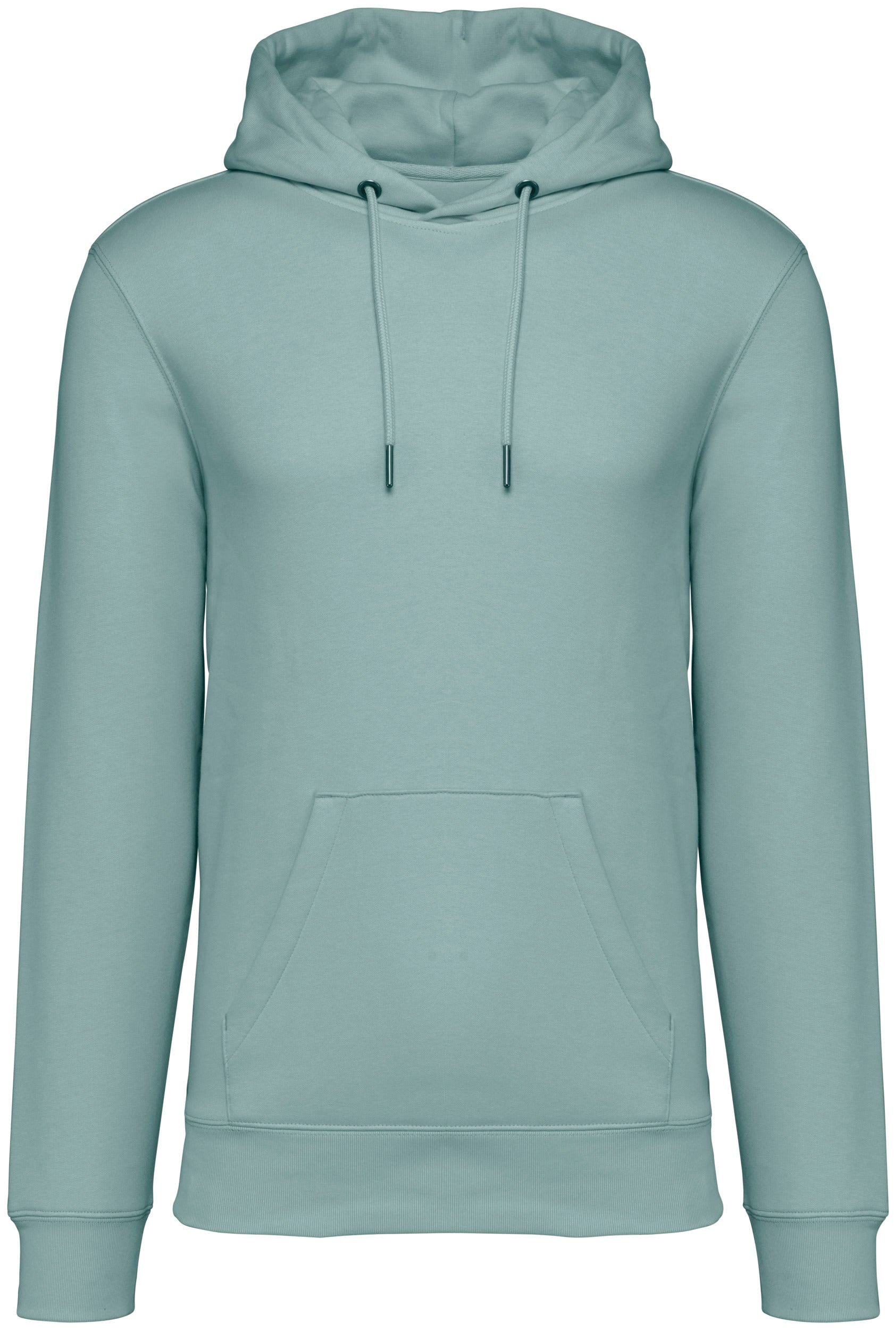 Unisex Hooded Sweatshirt - 350gr - NS401